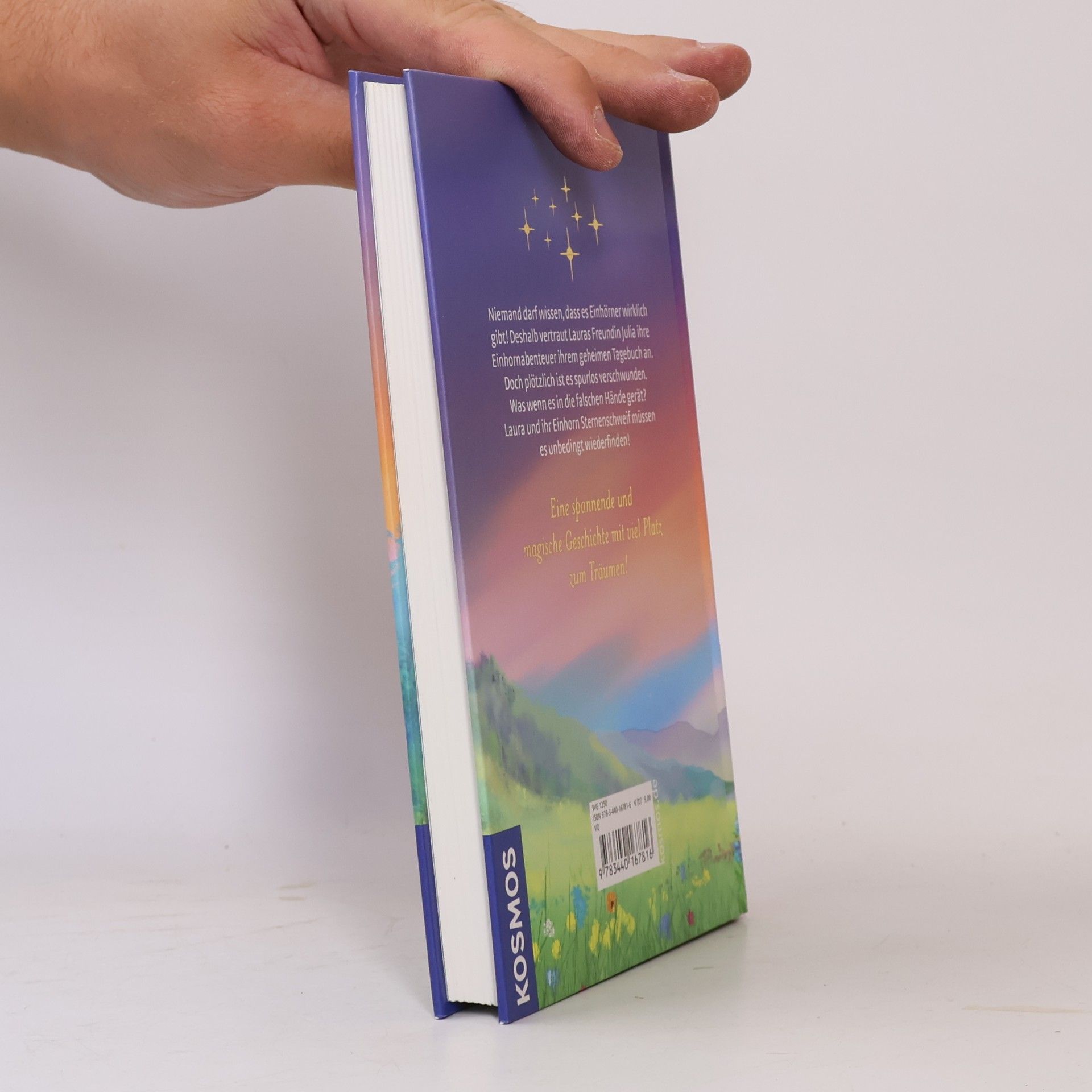 Anne Scheller Das verschwundene Tagebuch