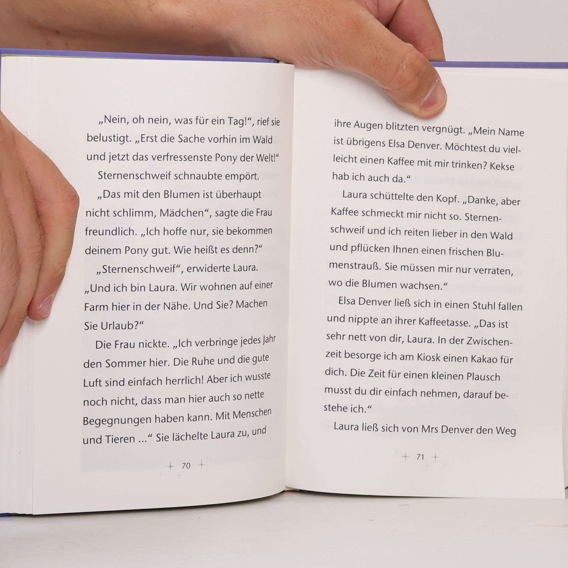 Anne Scheller Das verschwundene Tagebuch