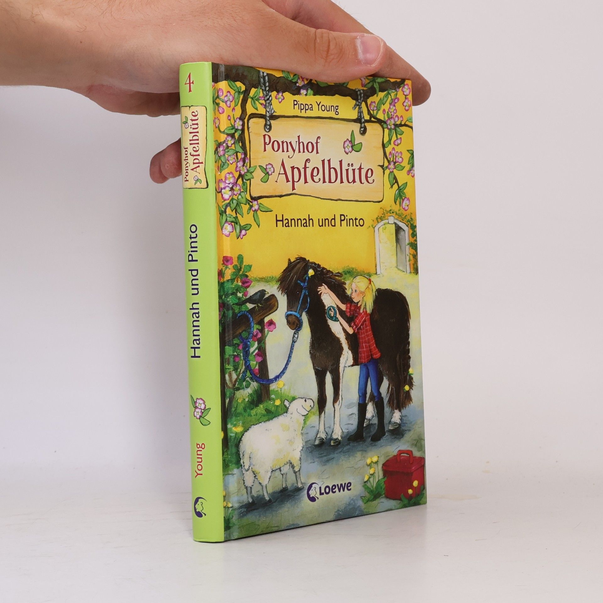 Ponyhof Apfelblüte - Hannah und Pinto