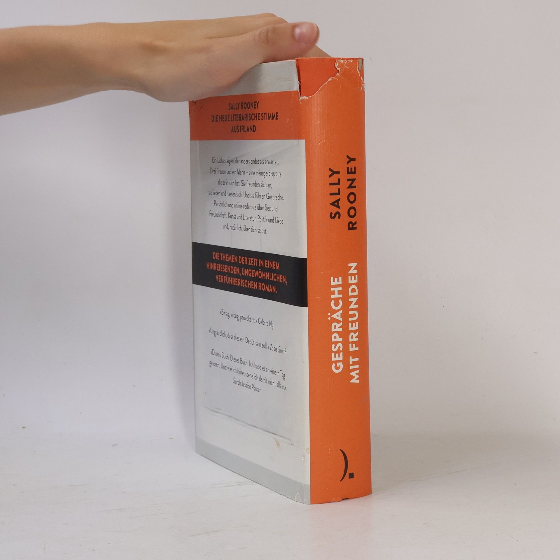 Sally Rooney Gespräche mit Freunden
