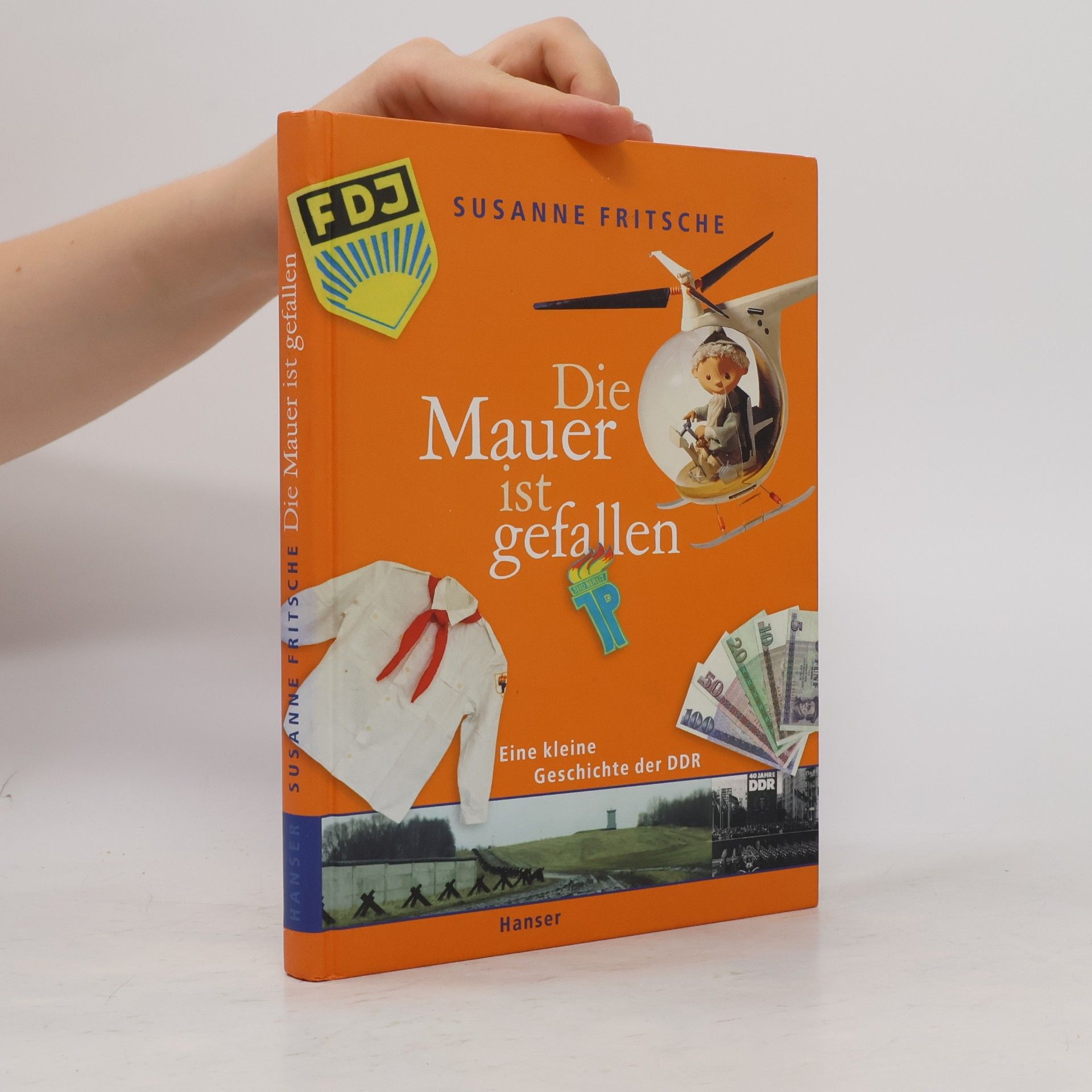 Susanne Fritsche Die Mauer ist gefallen