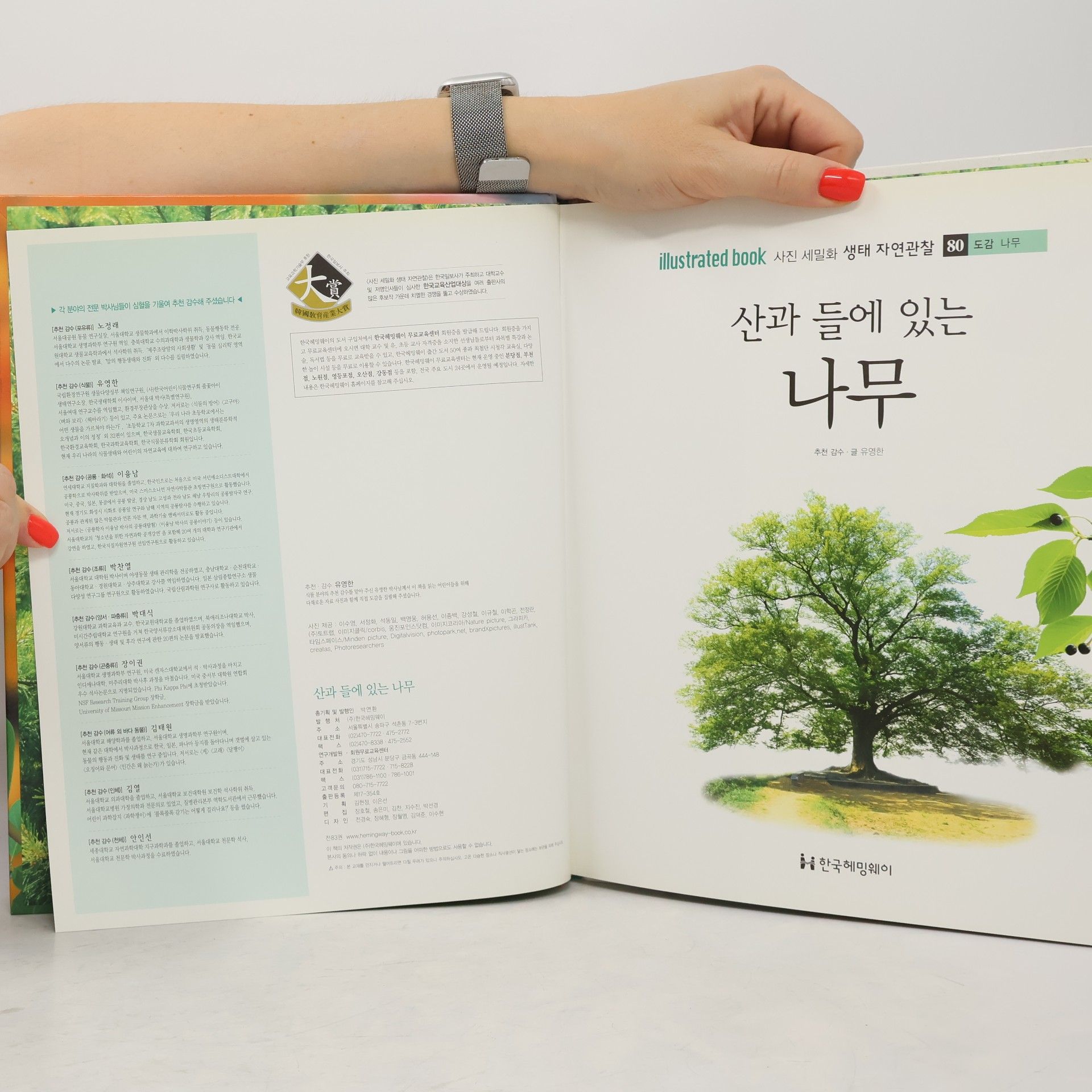 Yoo Young-han 산과 들에 있는 나무 80