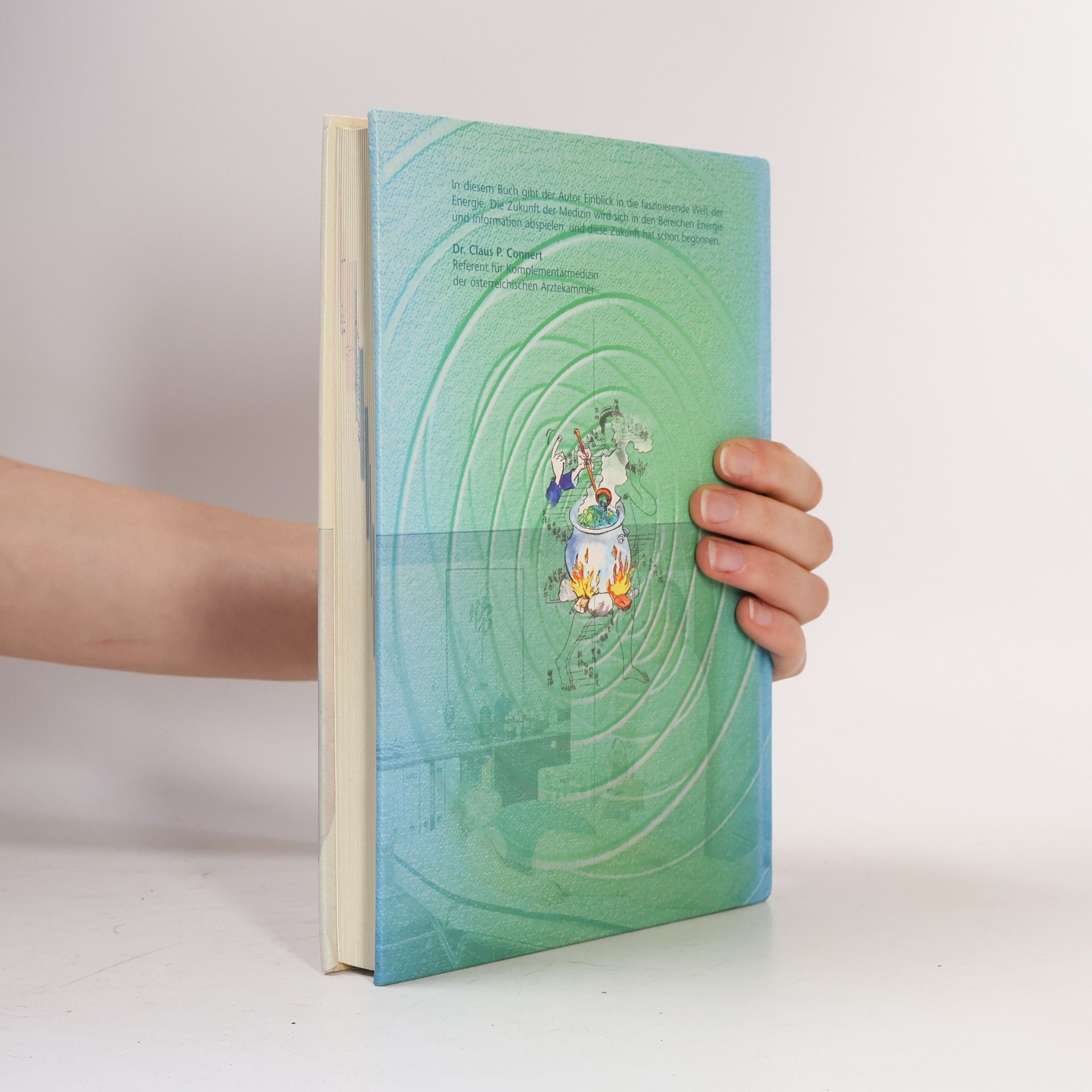 Christian Thuile Praxis der Magnetfeldtherapie
