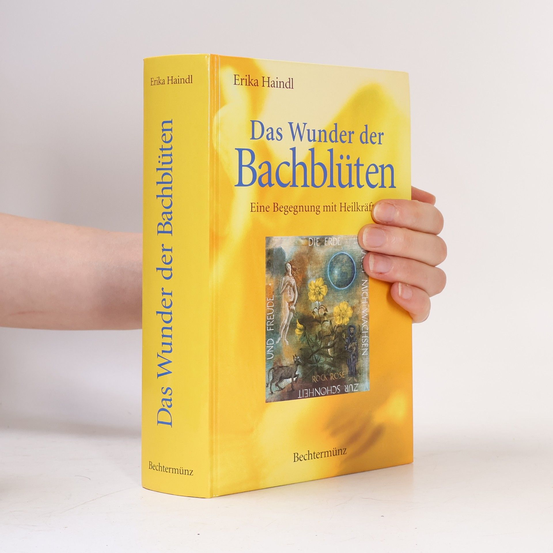 Erika Haindl Das Wunder der Bachblüten