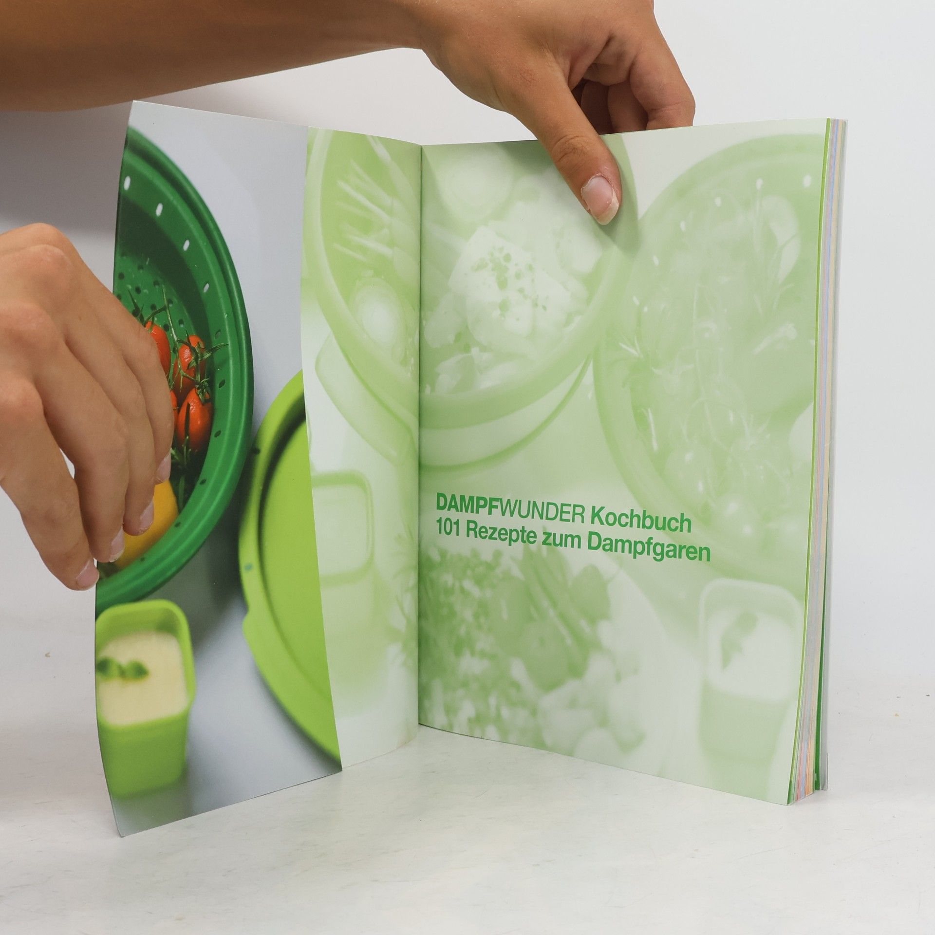 AA.VV. Dampfwunder Kochbuch. 101 Rezepte zum Dampfgaren