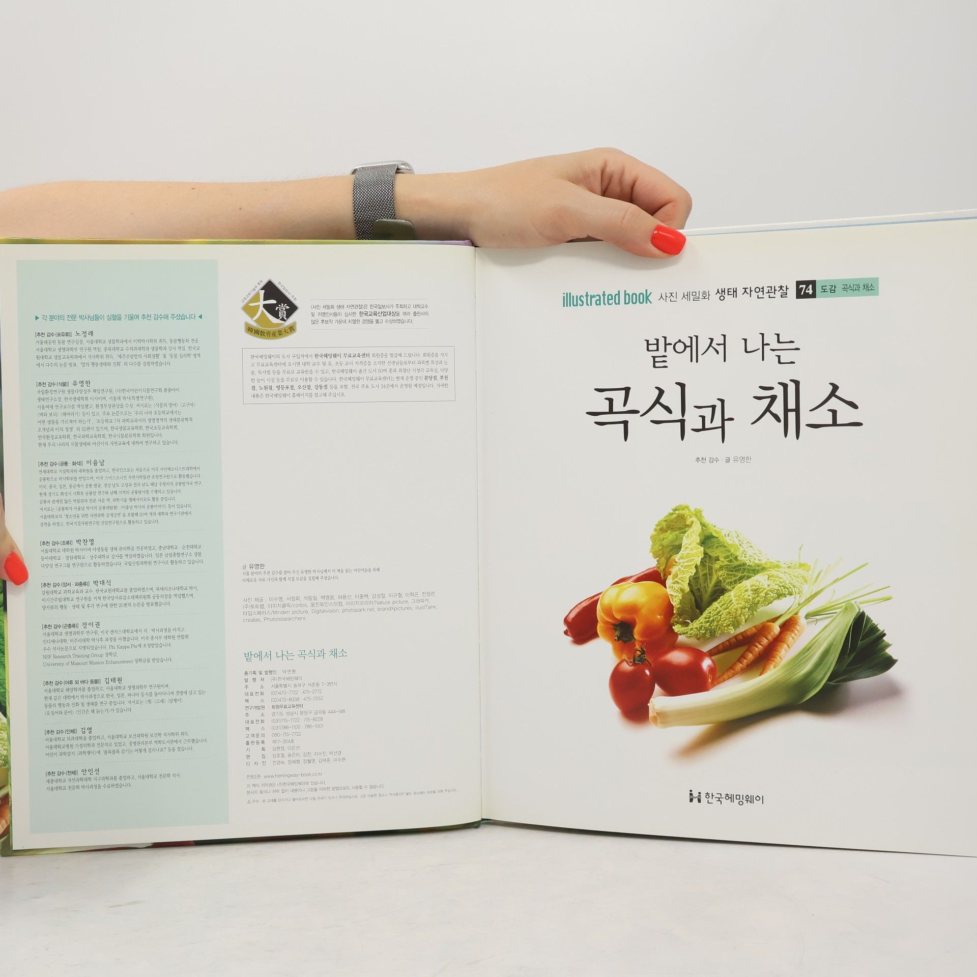 유영한 밭에서 나는 곡식과 채소