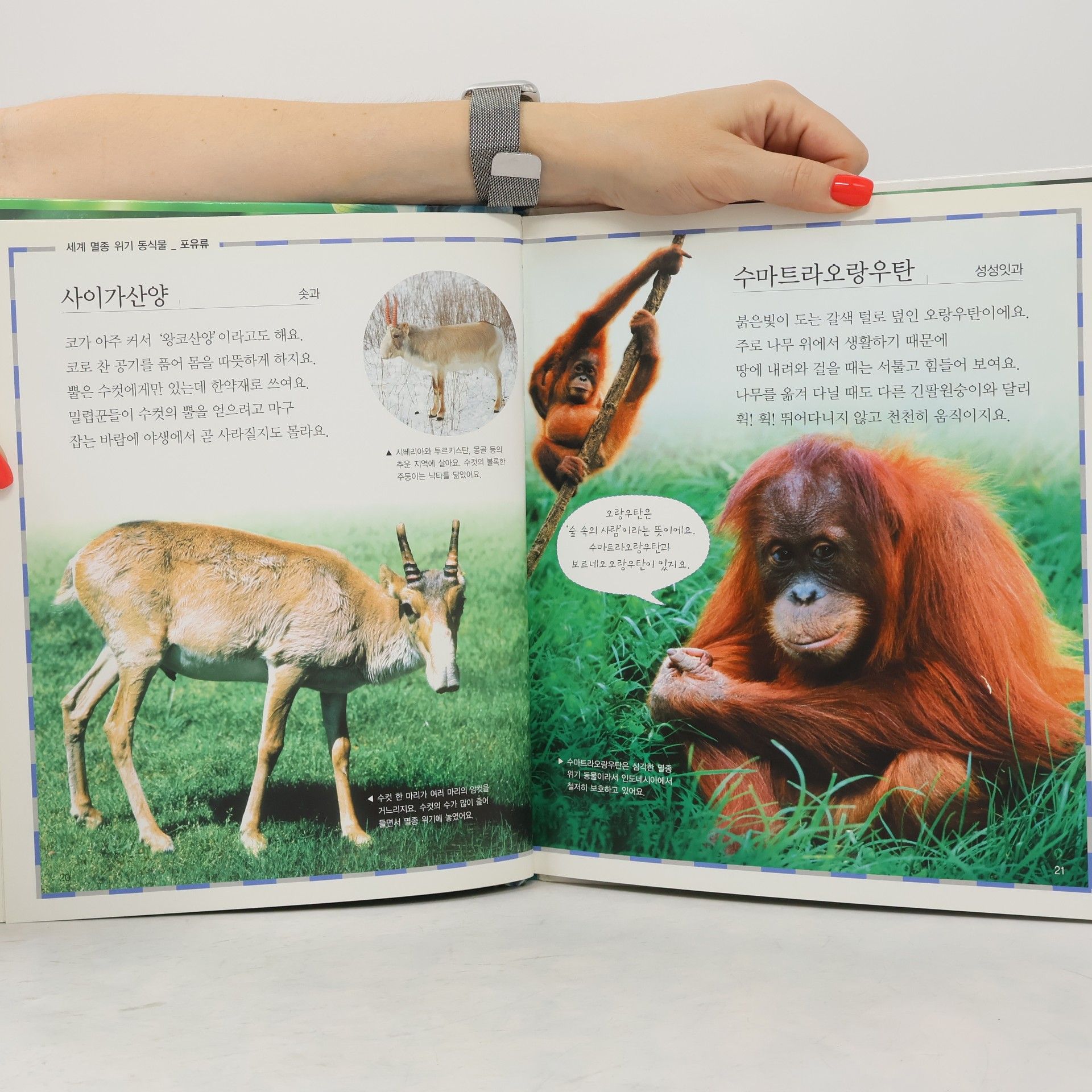 노정래 세계 멸종 위기 동식물 81