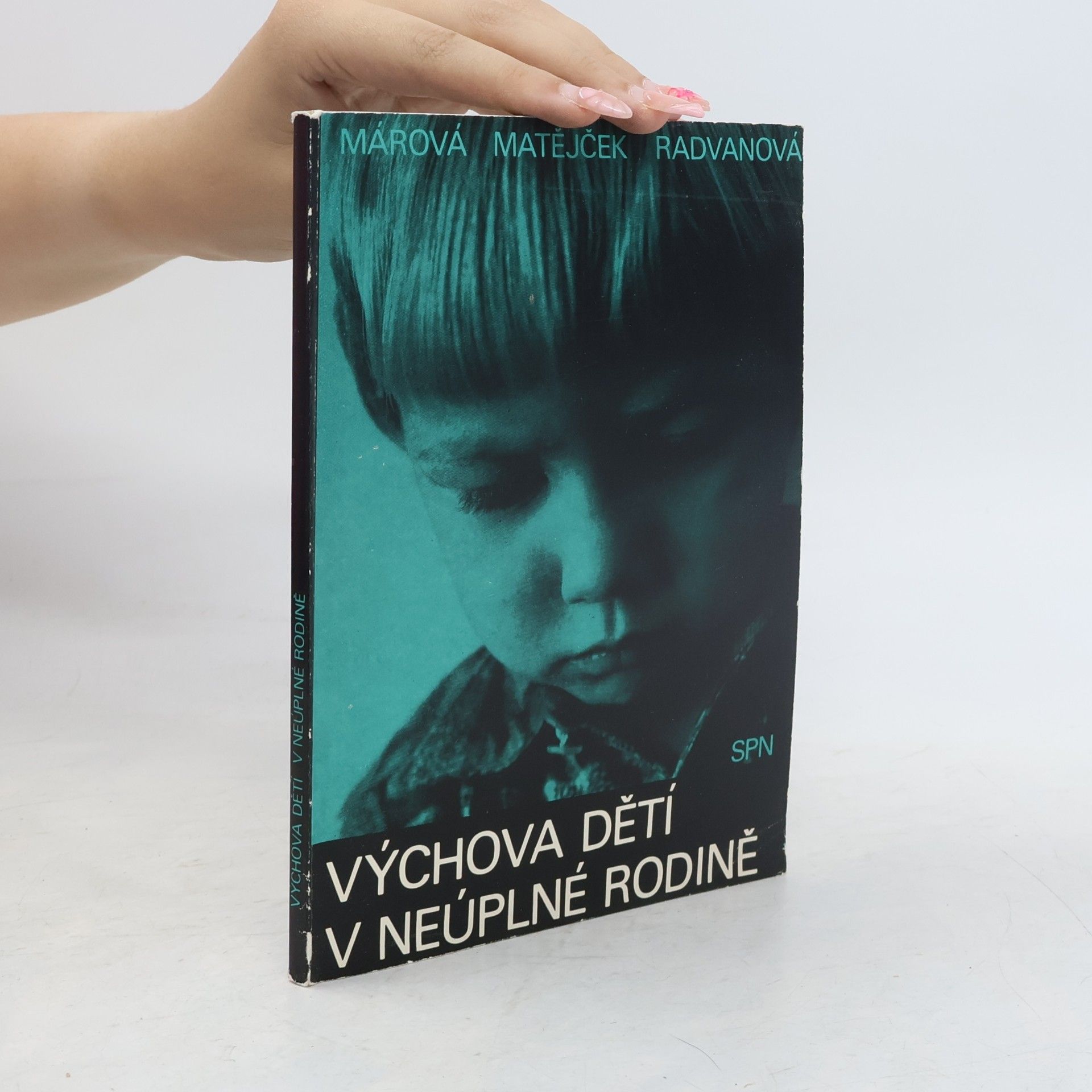 Collectif d'auteurs Výchova dětí v neúplné rodině