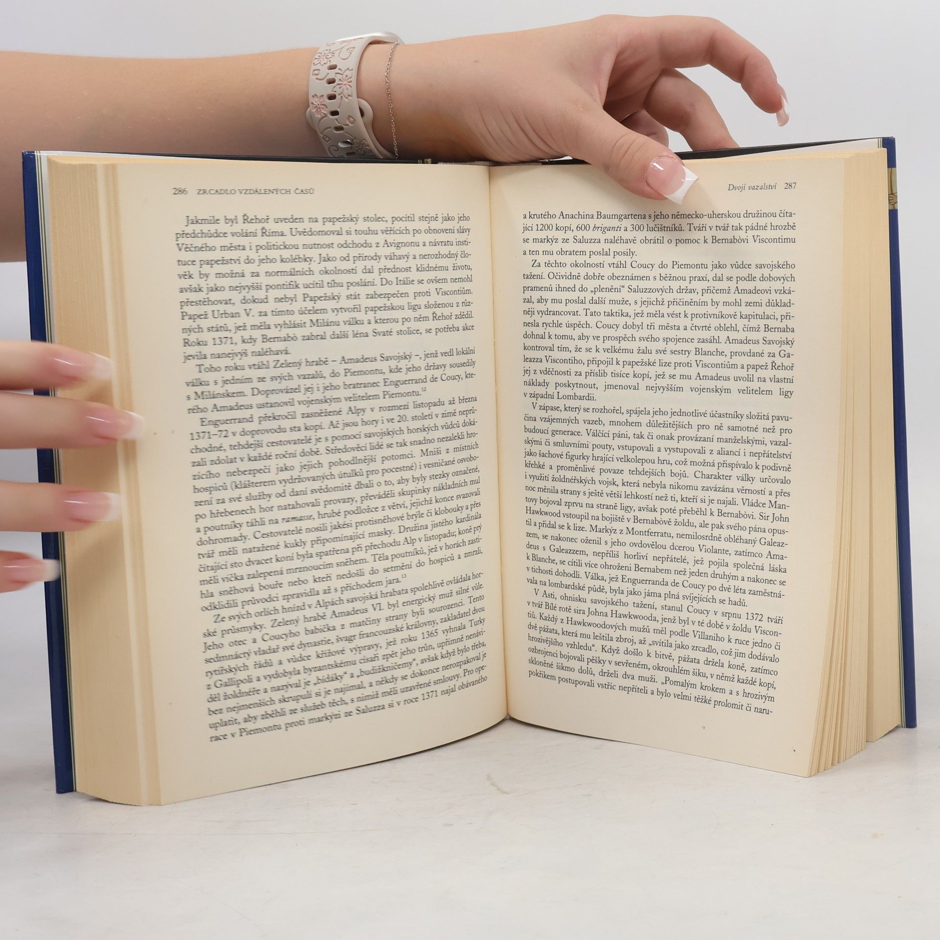 Barbara Tuchman Zrcadlo vzdálených časů. 14. století - století pohrom