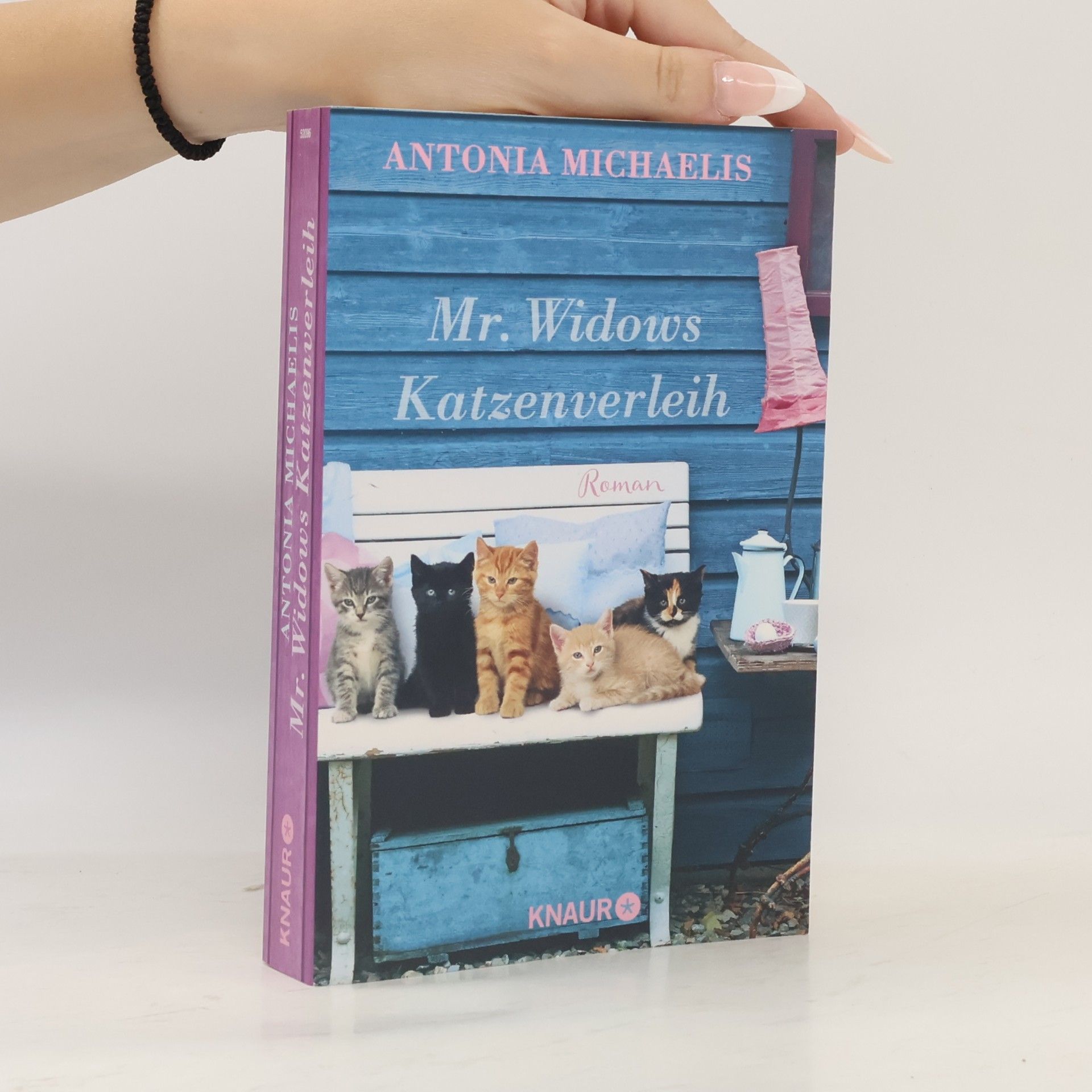 Antonia Michaelis Mr. Widows Katzenverleih