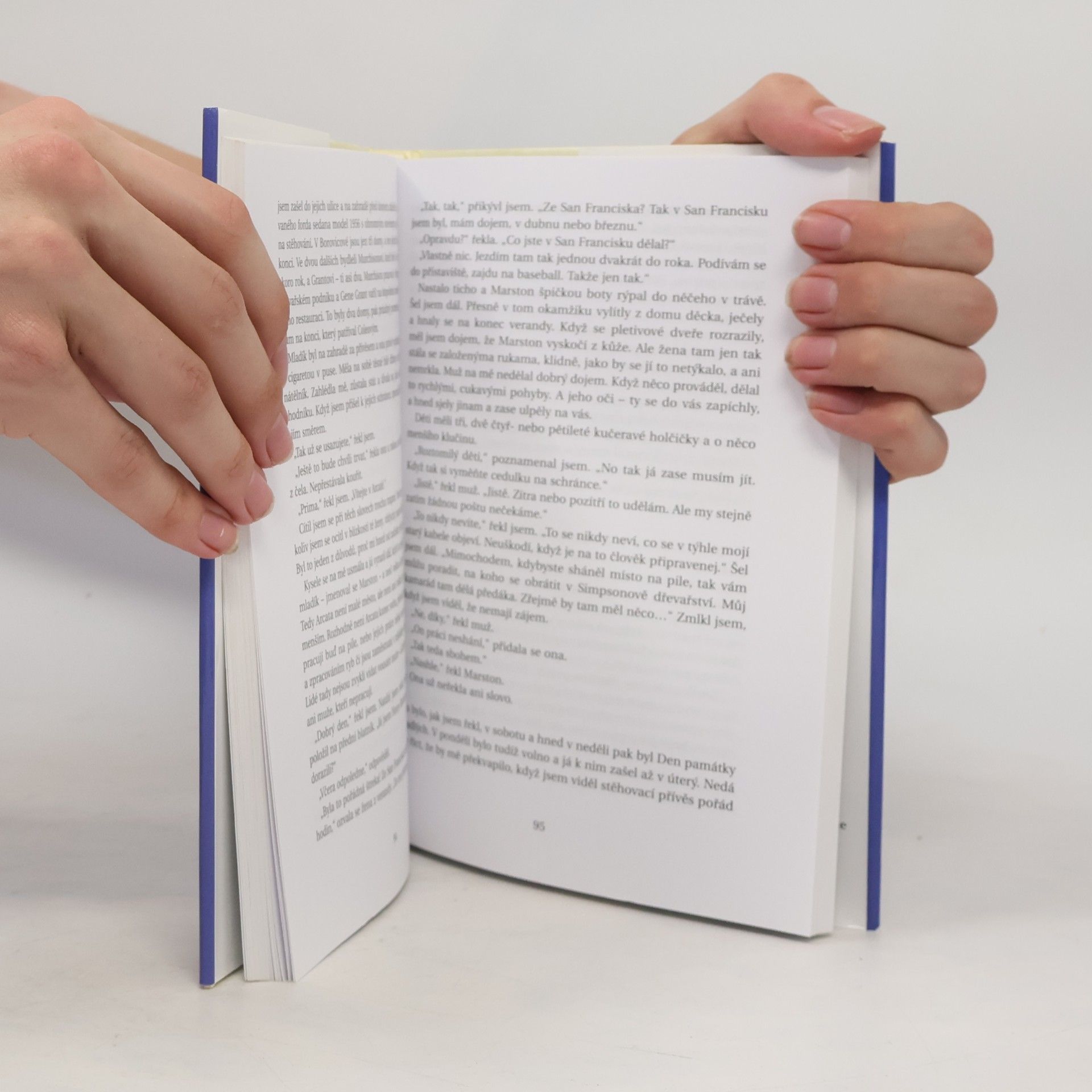 Raymond Carver Buď už, prosím tě, zticha