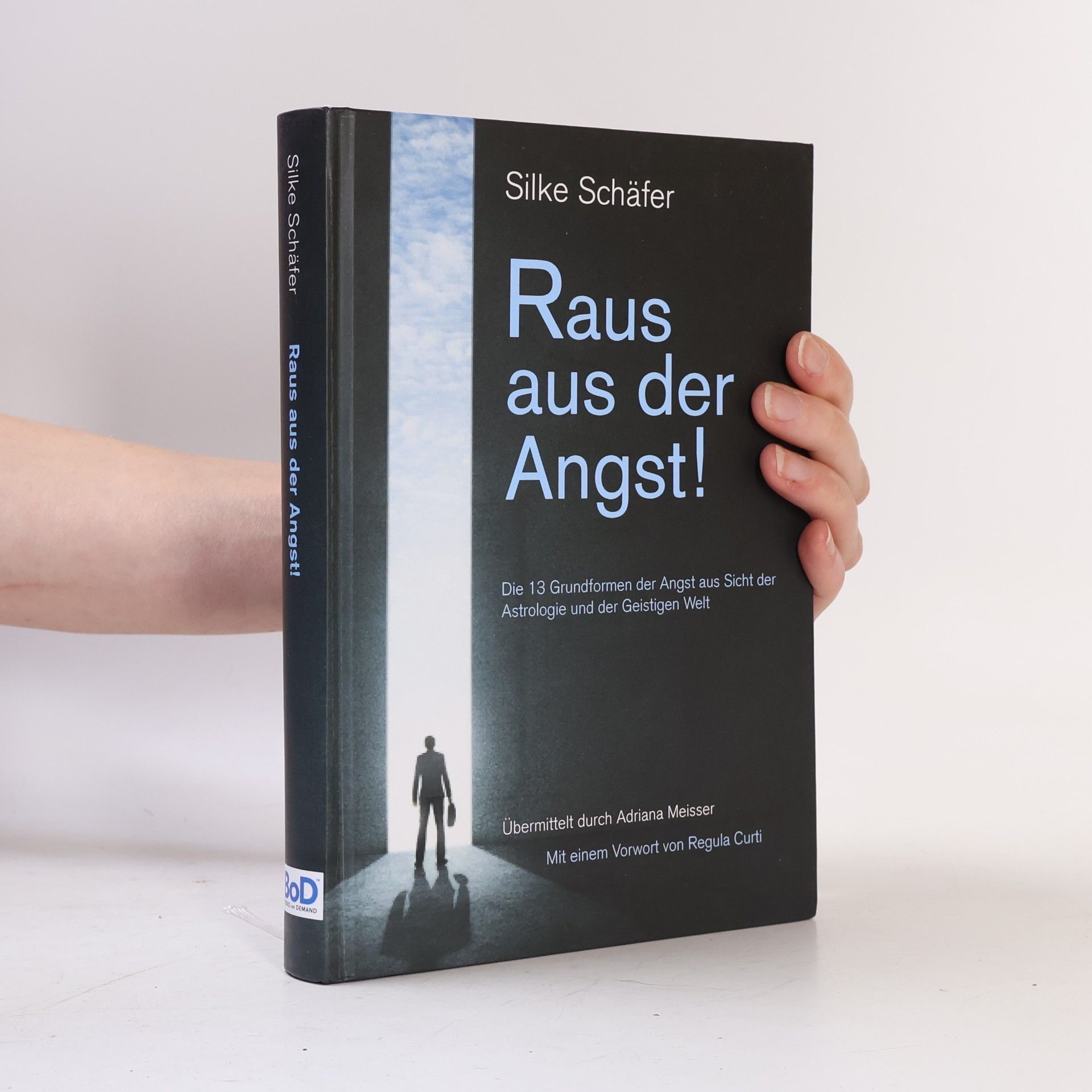 Silke Schäfer Raus aus der Angst!