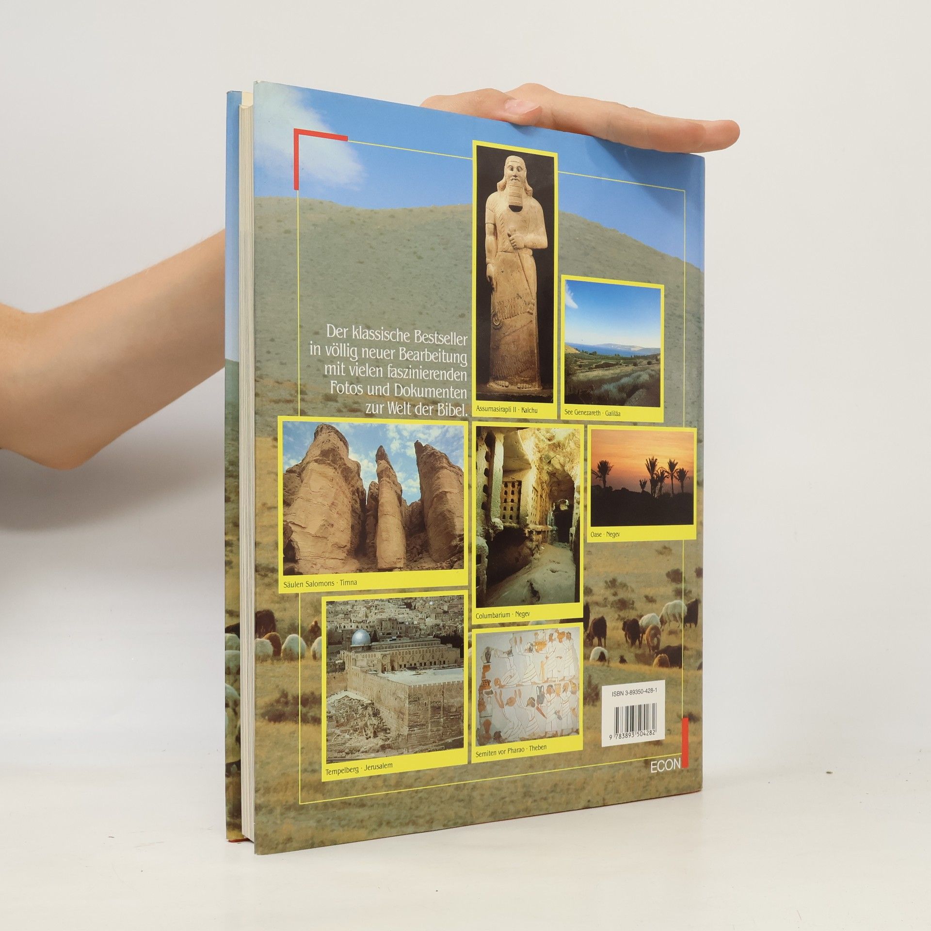 Werner Keller Und die Bibel hat doch recht