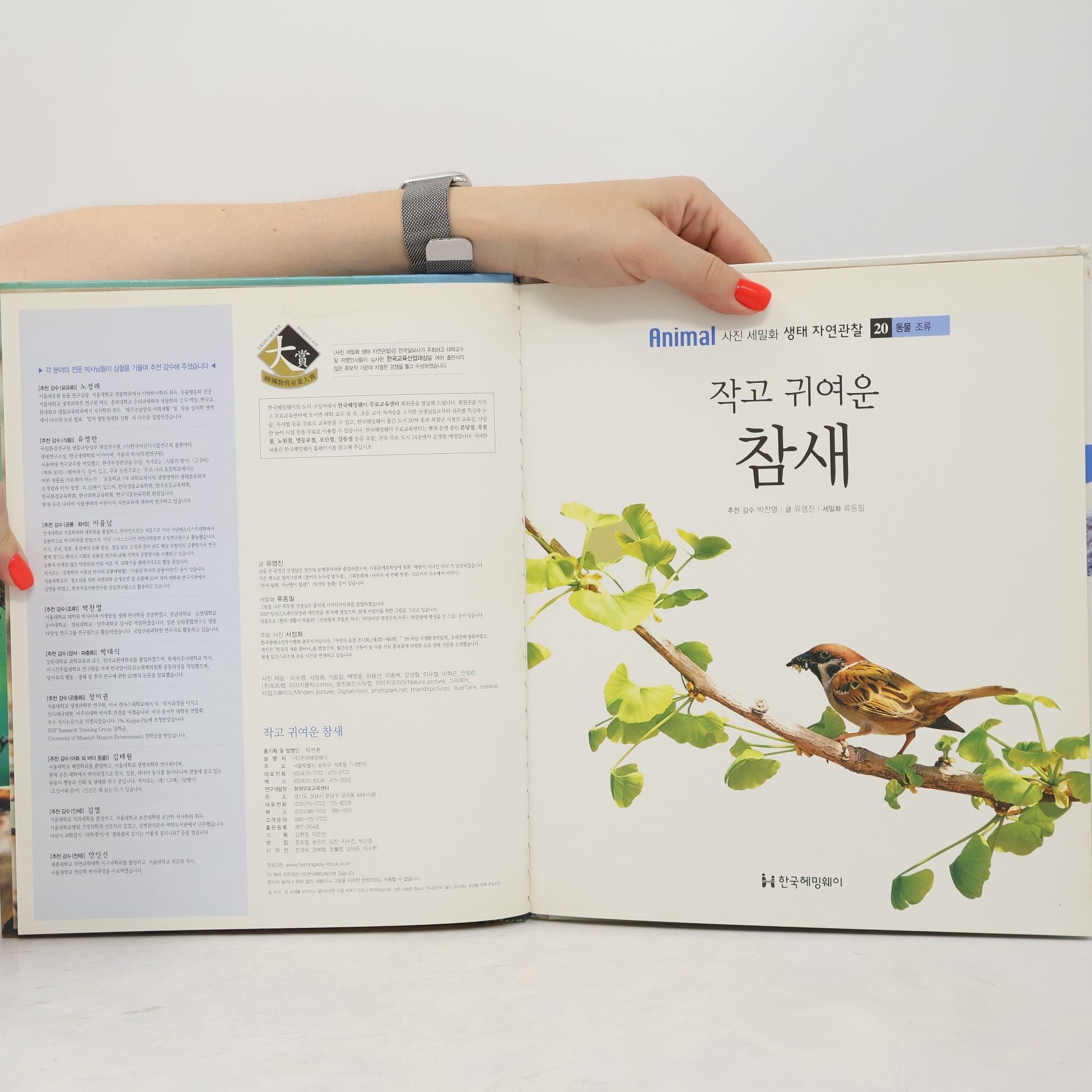 유영진 작고 귀여운 참새 20