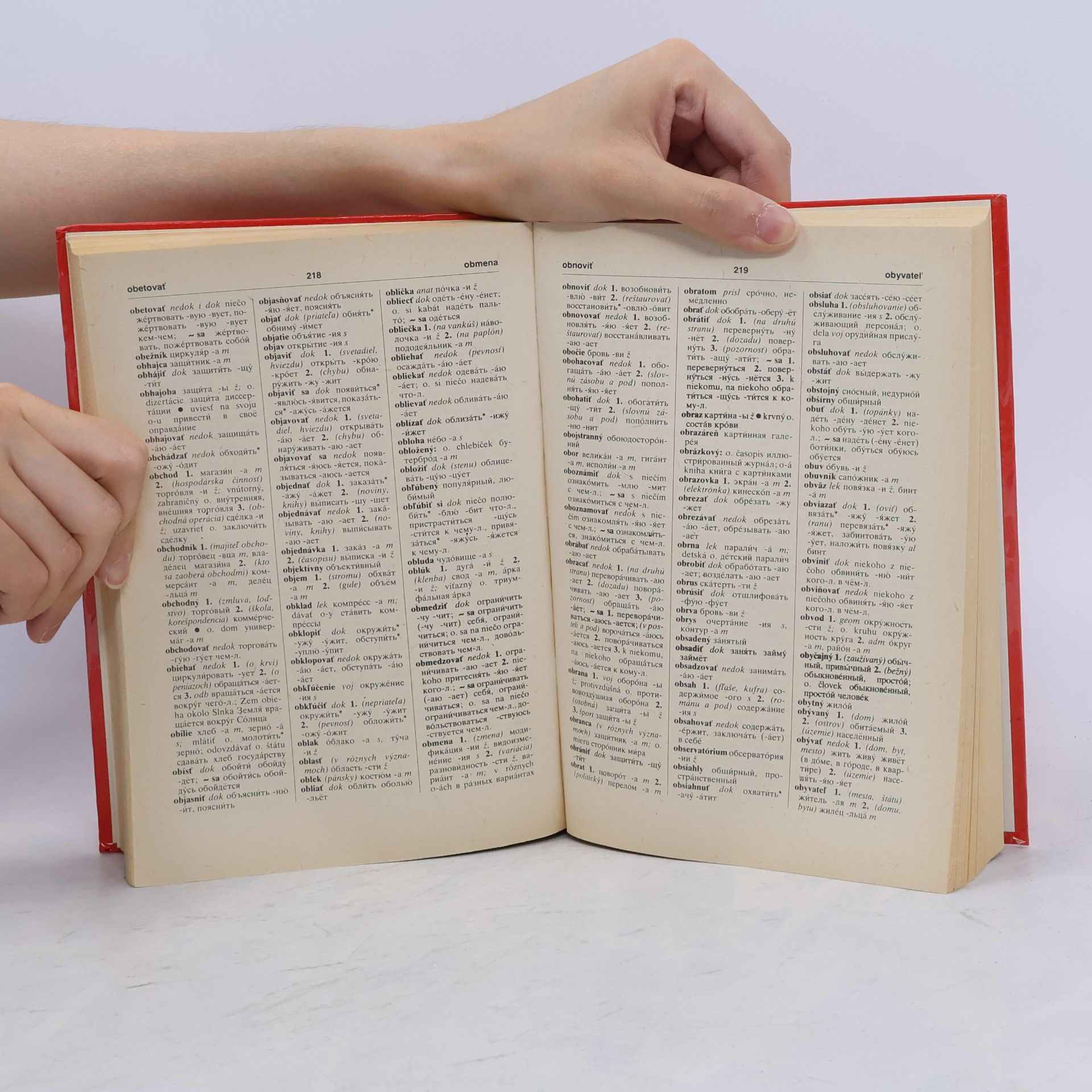 Autorenkollektiv Rusko-slovenský a slovensko-ruský slovník
