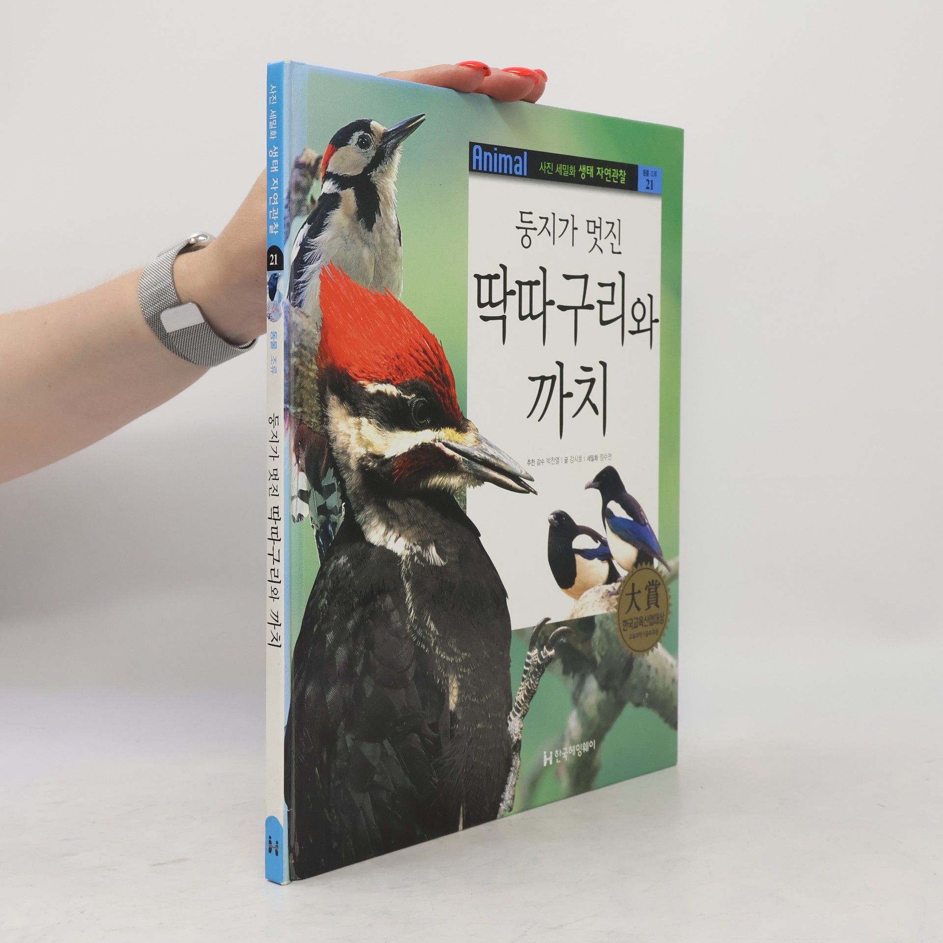 강시호 둥지가 멋진 딱따구리와 까치 21