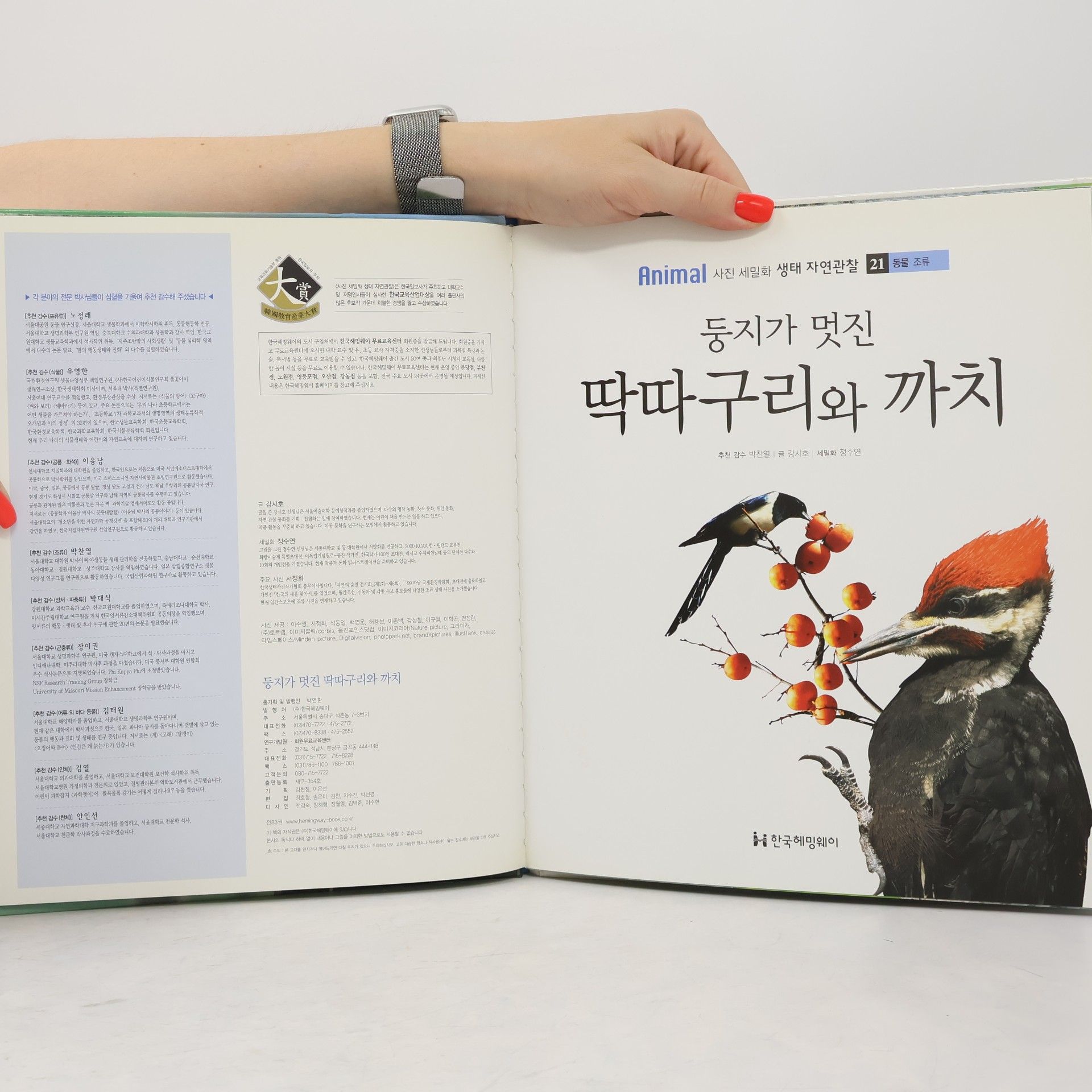 박찬열 둥지가 멋진 딱따구리와 까치 21