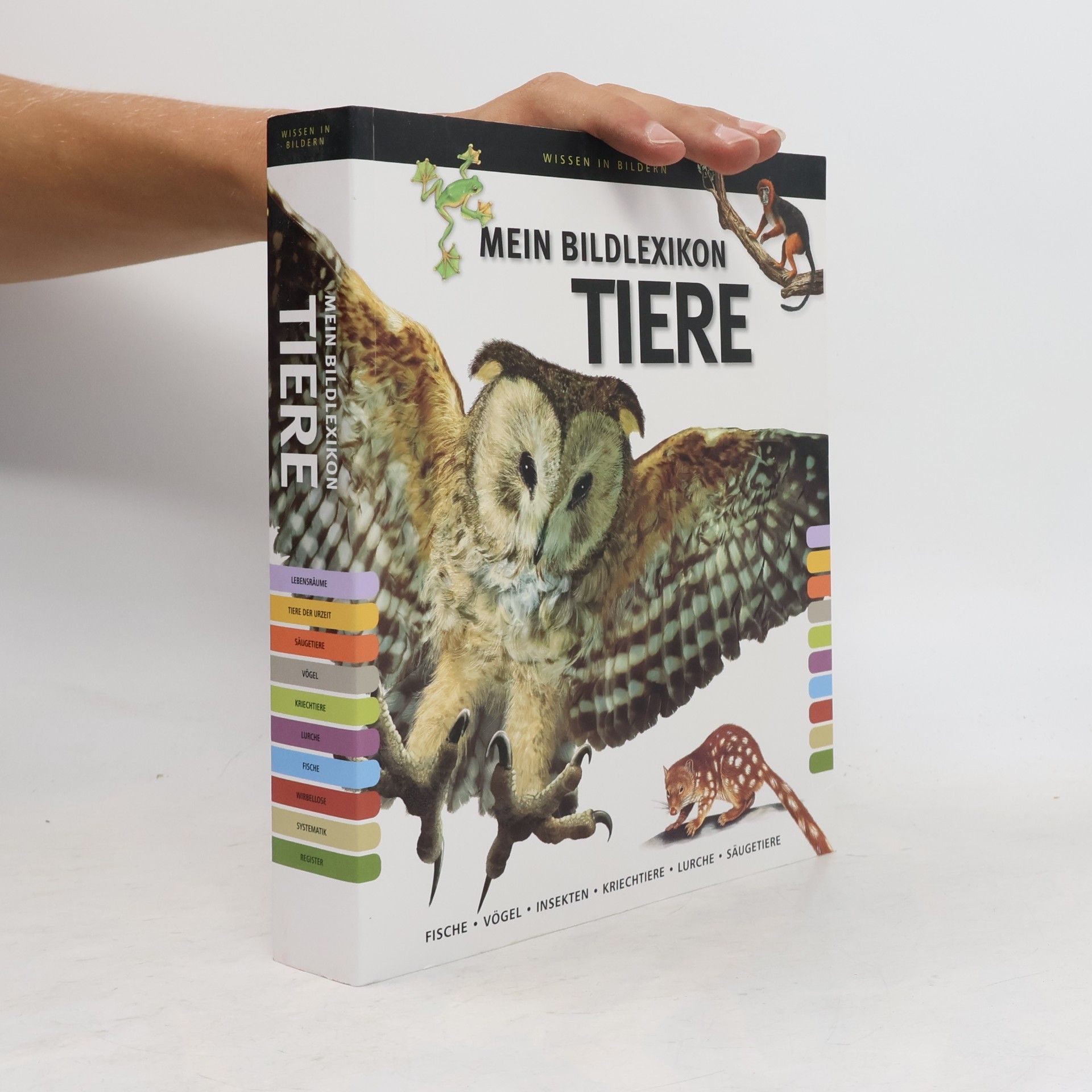 Autorenkollektiv Mein Bildlexikon Tiere