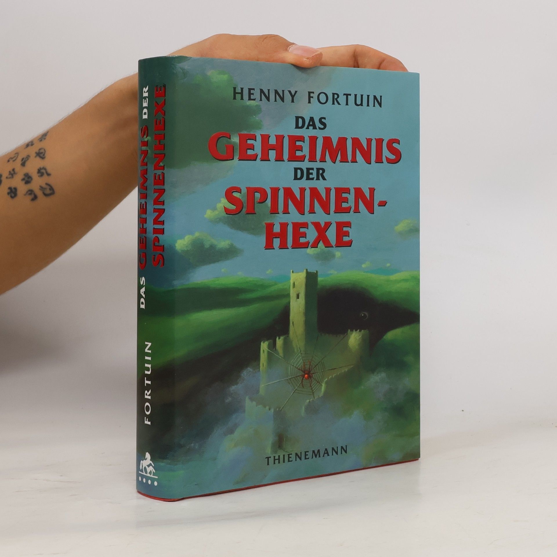 Henny Fortuin Das Geheimnis der Spinnenhexe