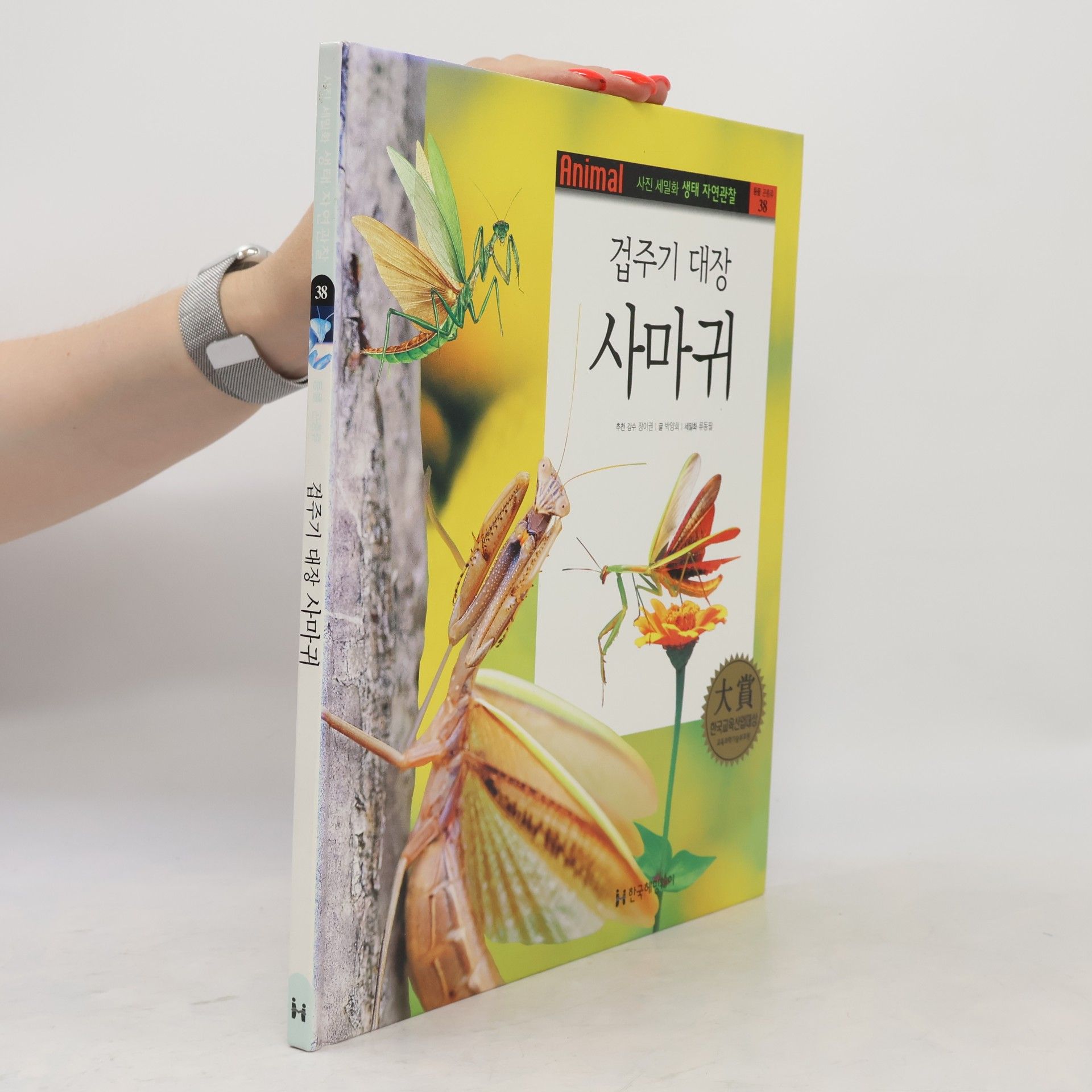 박양희 겁주기 대장 사마귀 38