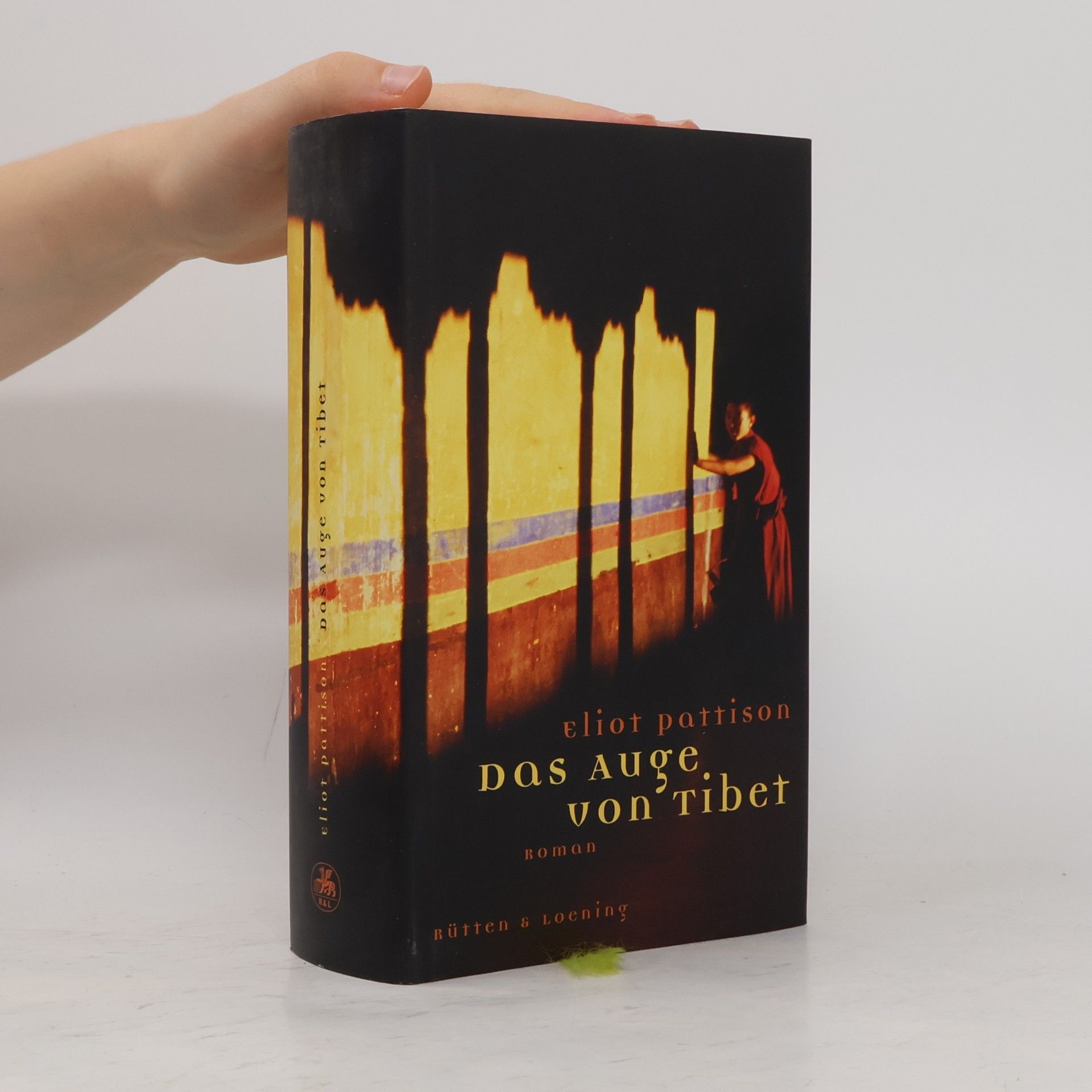 Eliot Pattison Das Auge von Tibet
