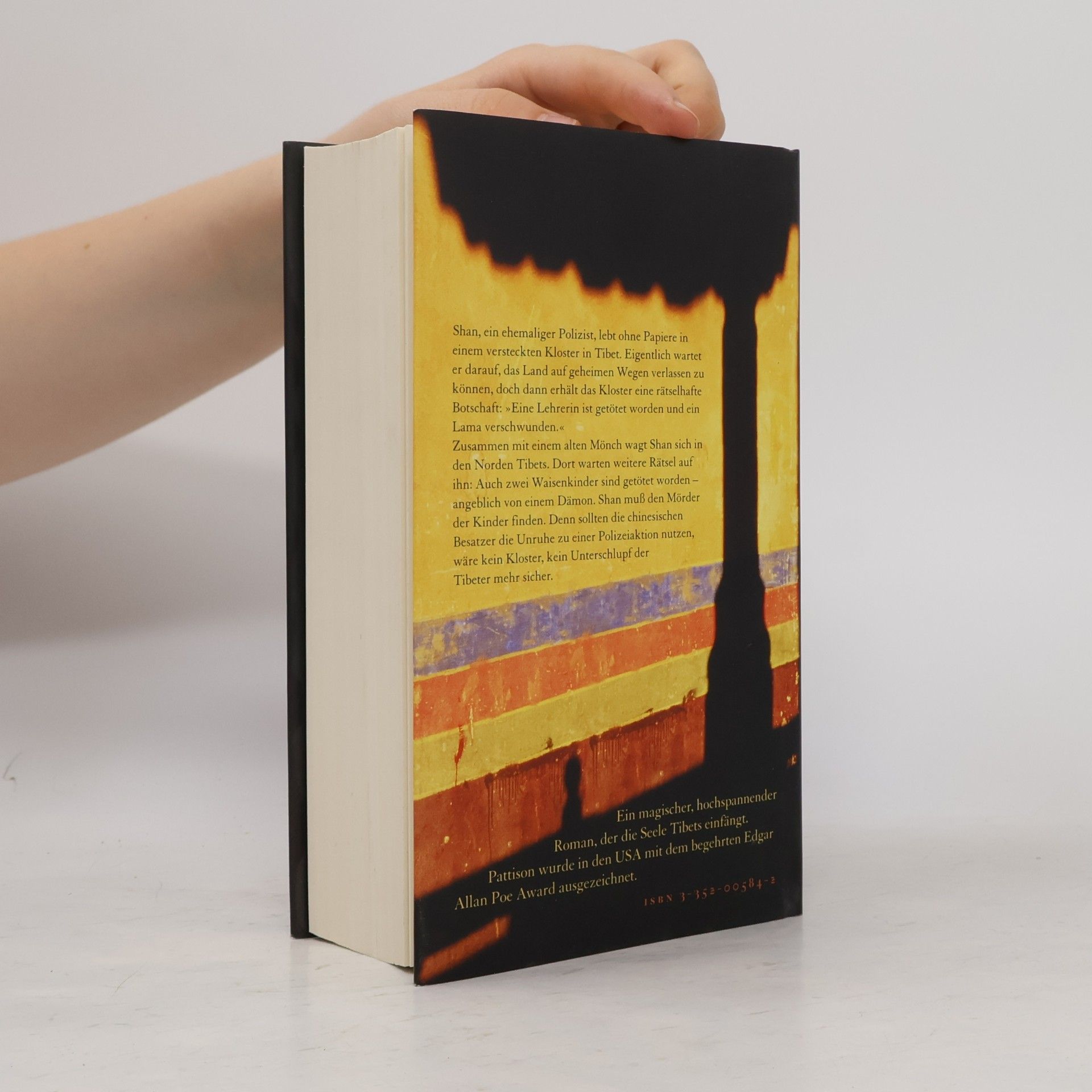 Eliot Pattison Das Auge von Tibet