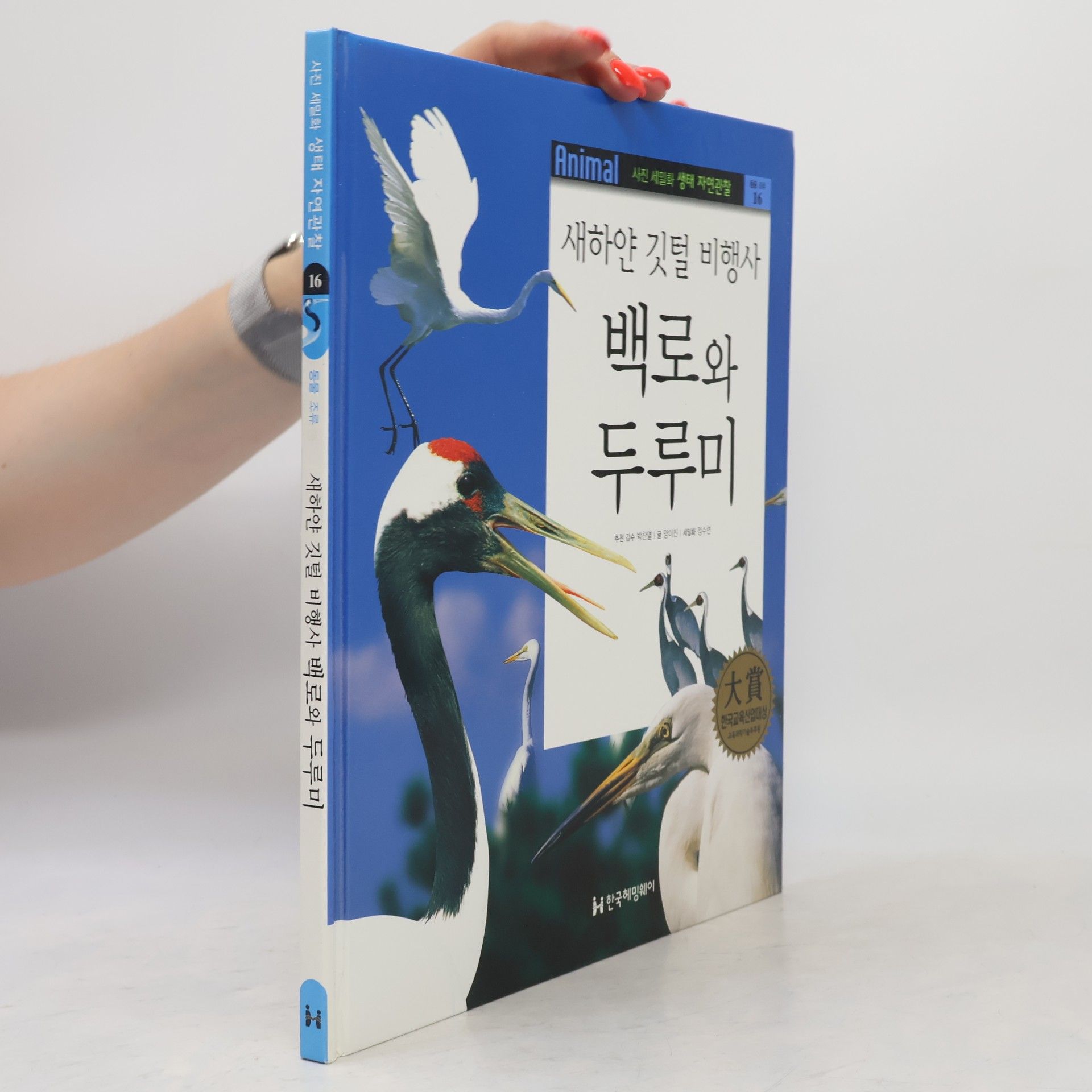 정수연 새하얀 깃털 비행사 백로와 두루미 16