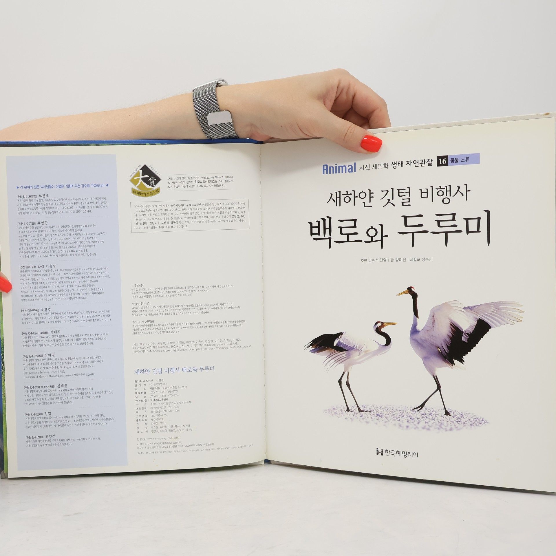 양미진 새하얀 깃털 비행사 백로와 두루미 16