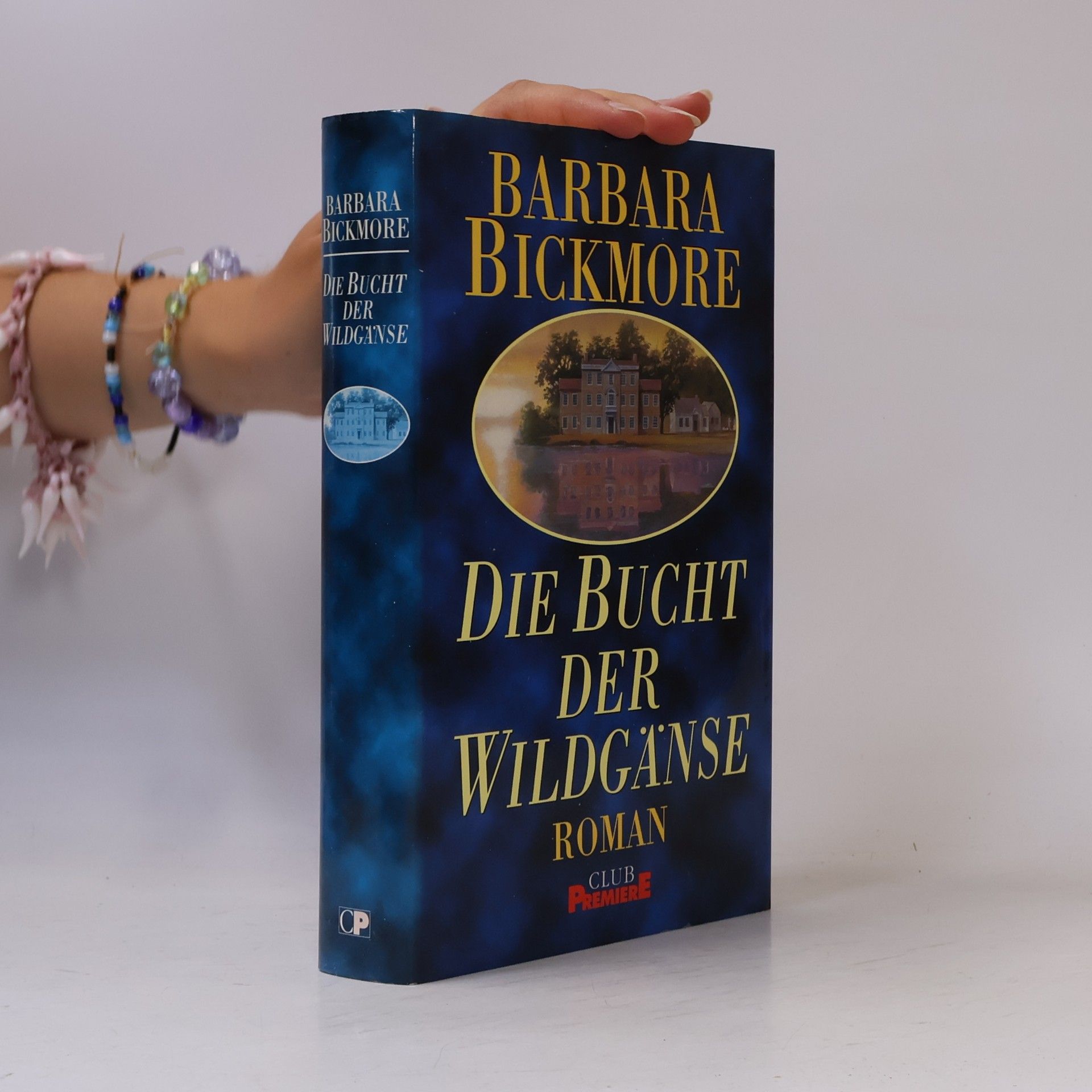 Barbara Bickmore Die Bucht der Wildgänse
