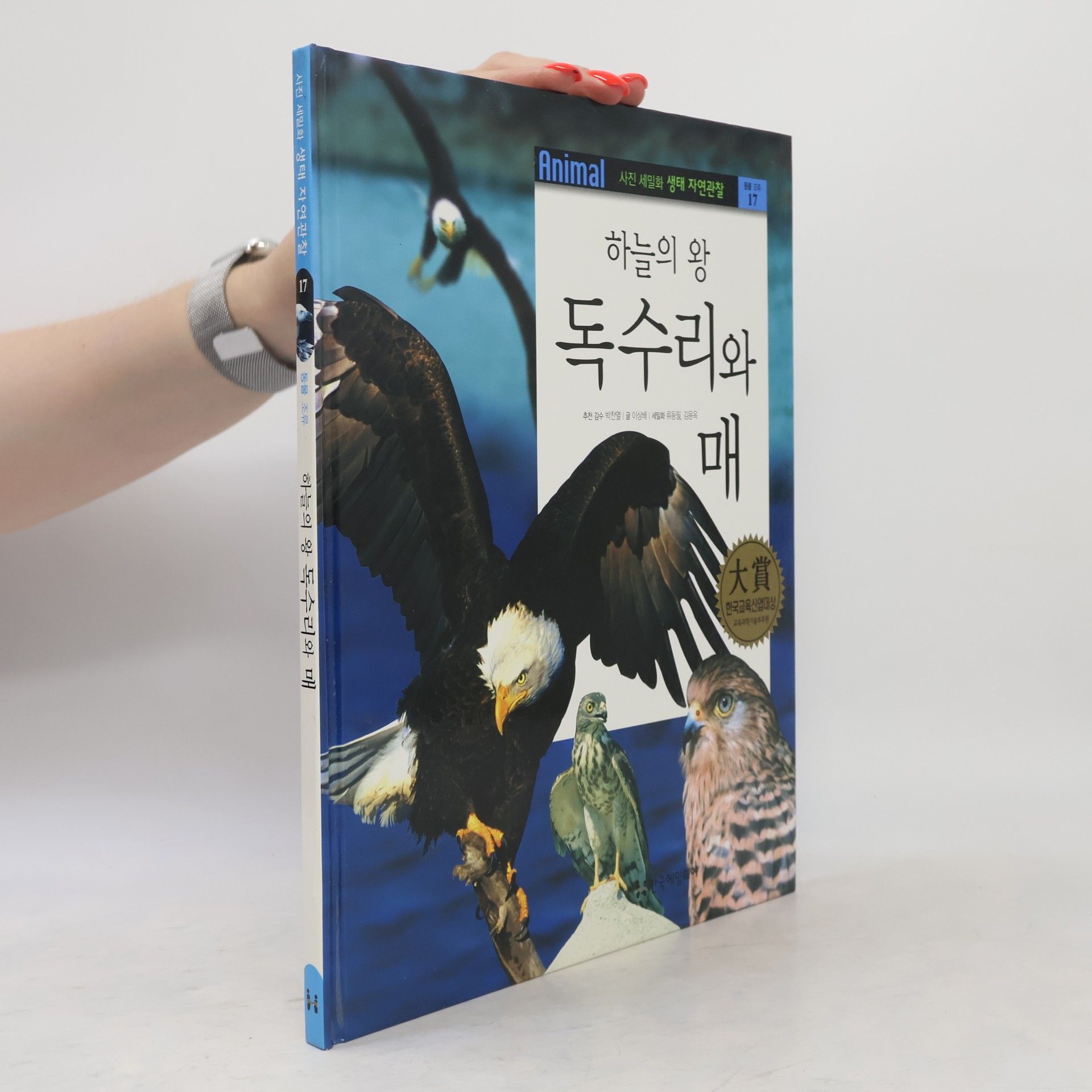 박찬열 하늘의 왕 독수리와 매 17
