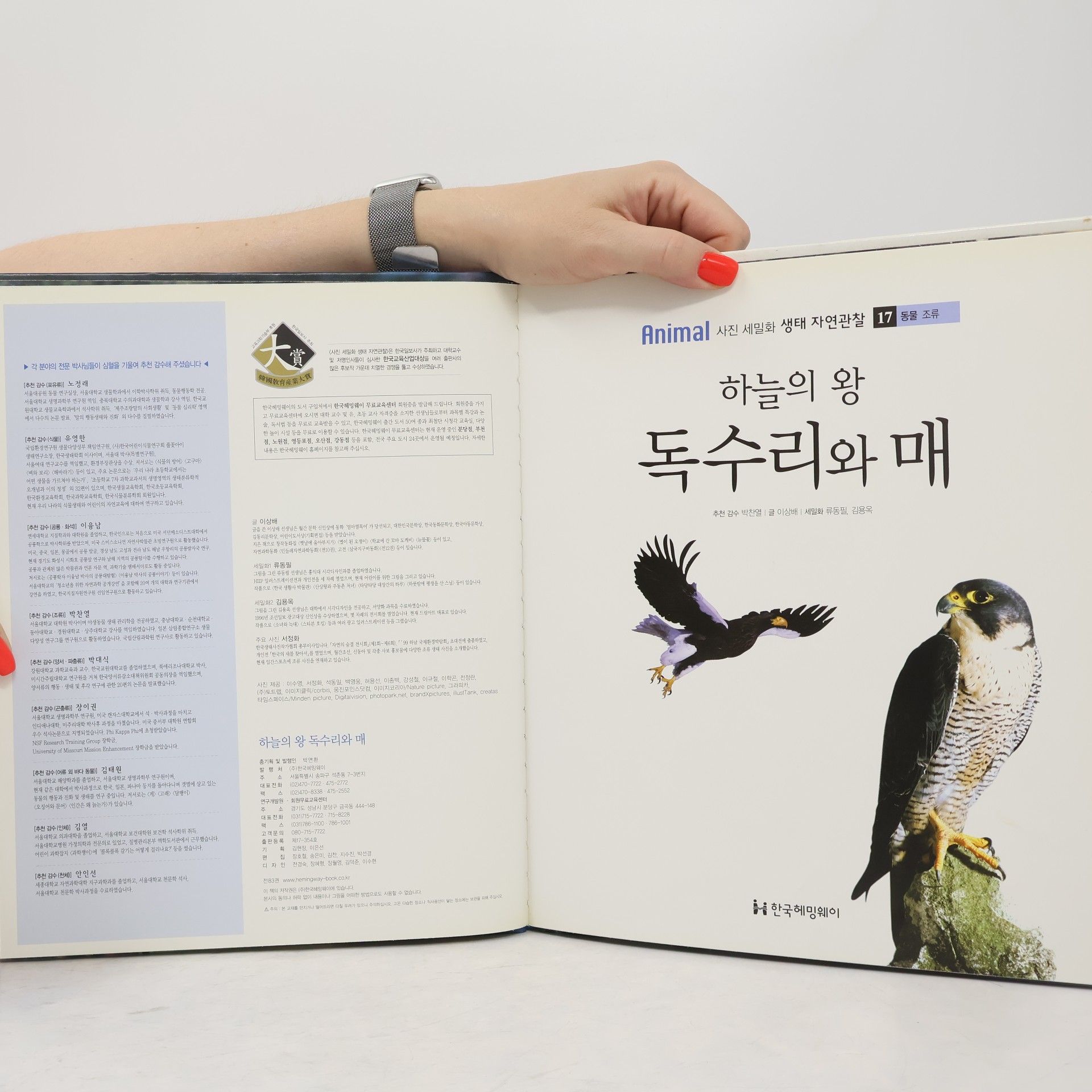 이상배 하늘의 왕 독수리와 매 17