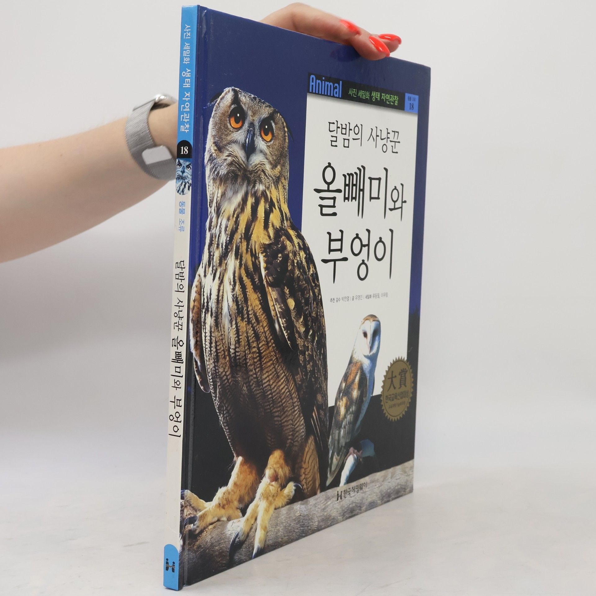 이우림 달밤의 사냥꾼 올빼미와 부엉이 18