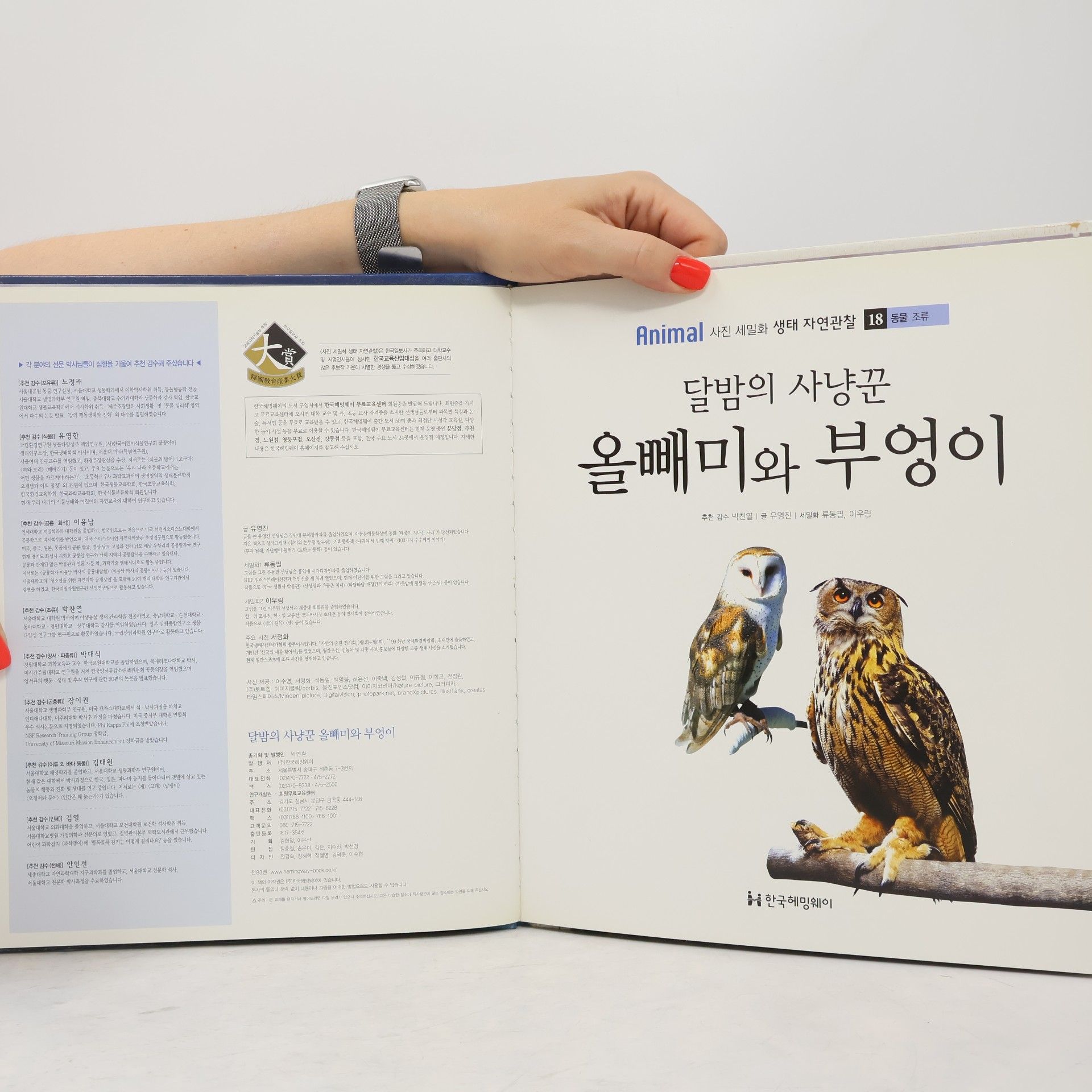 유영진 달밤의 사냥꾼 올빼미와 부엉이 18
