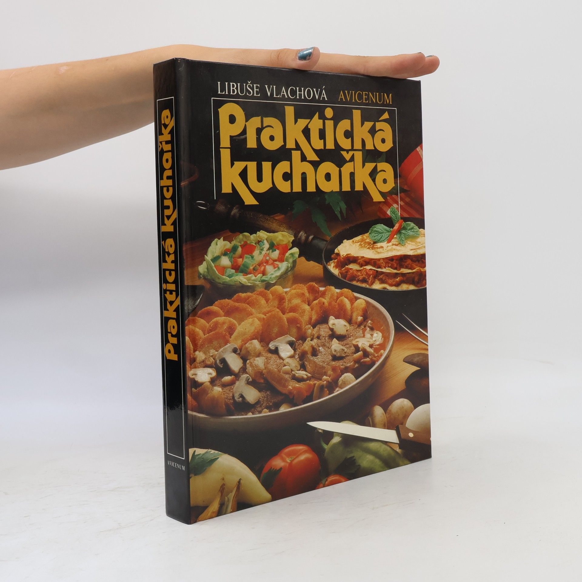 Libuše Vlachová Praktická kuchařka