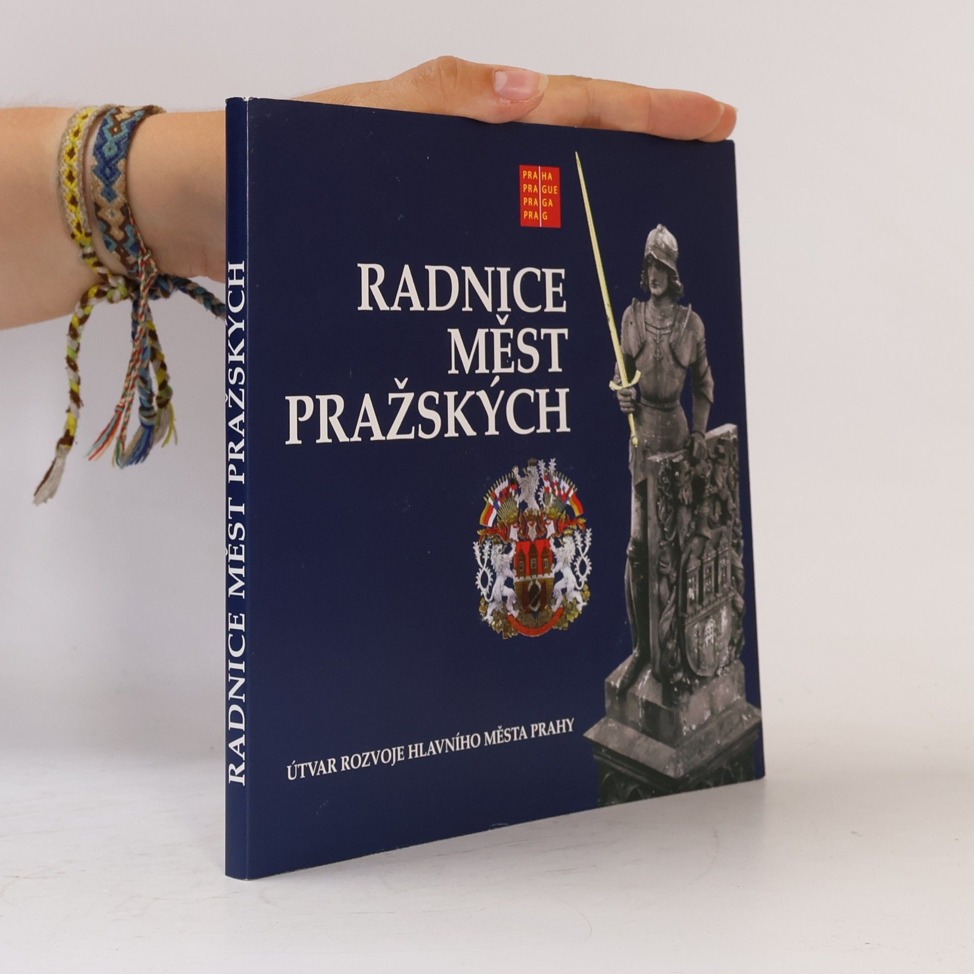 Kolektiv autorů Radnice měst pražských