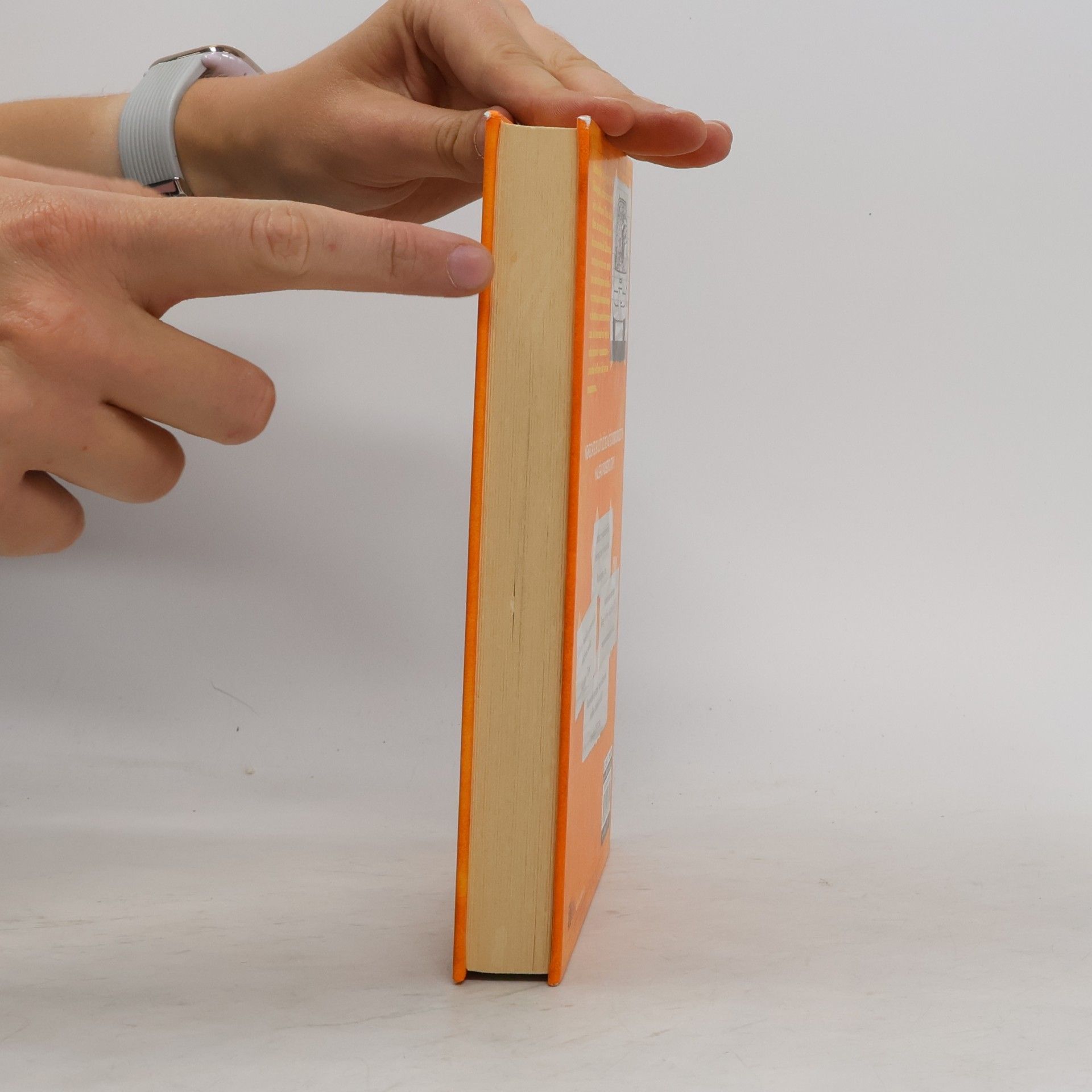 Jeff Kinney Deník malého poseroutky 9. Výlet za všechny peníze