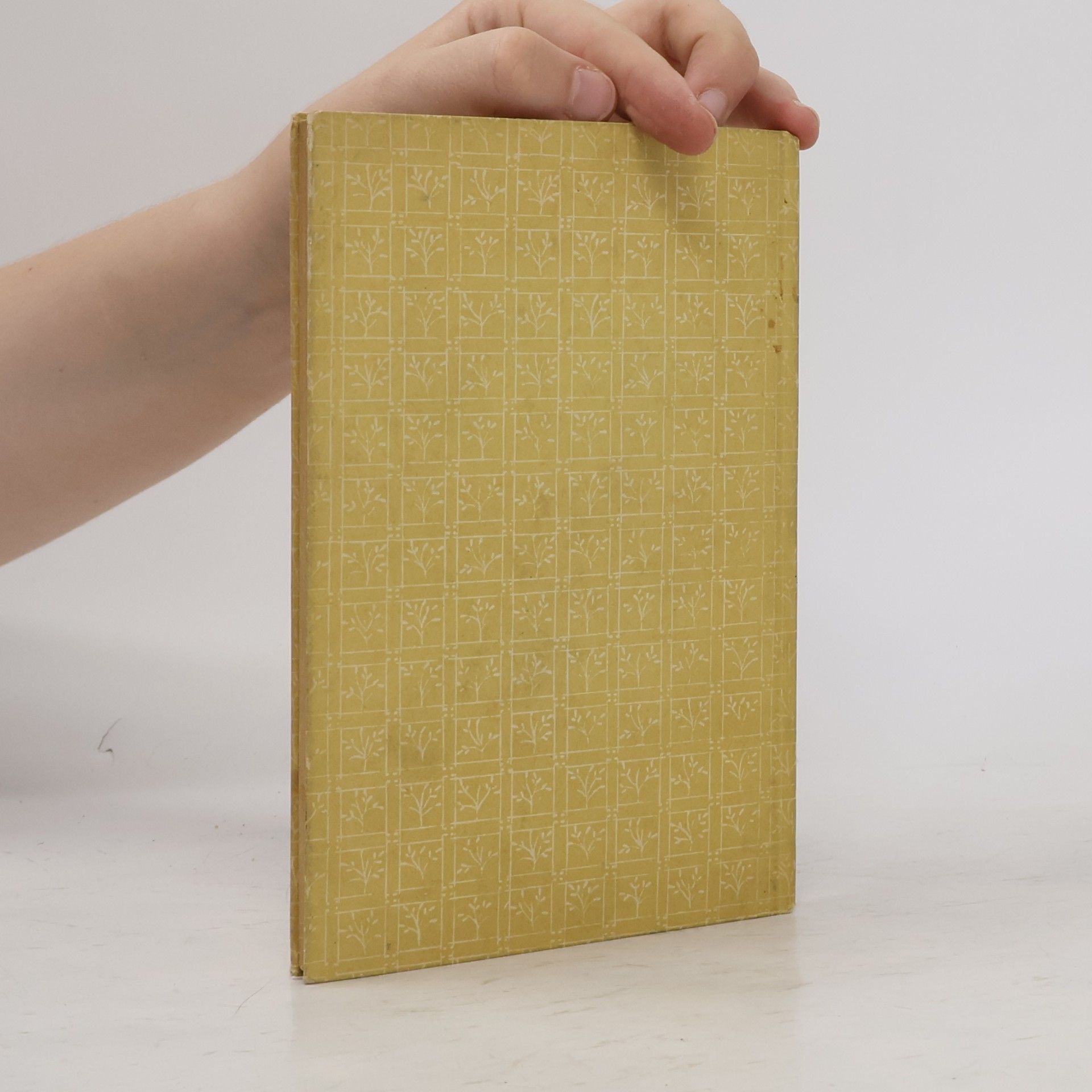 Kakuzó Okakura Das Buch vom Tee
