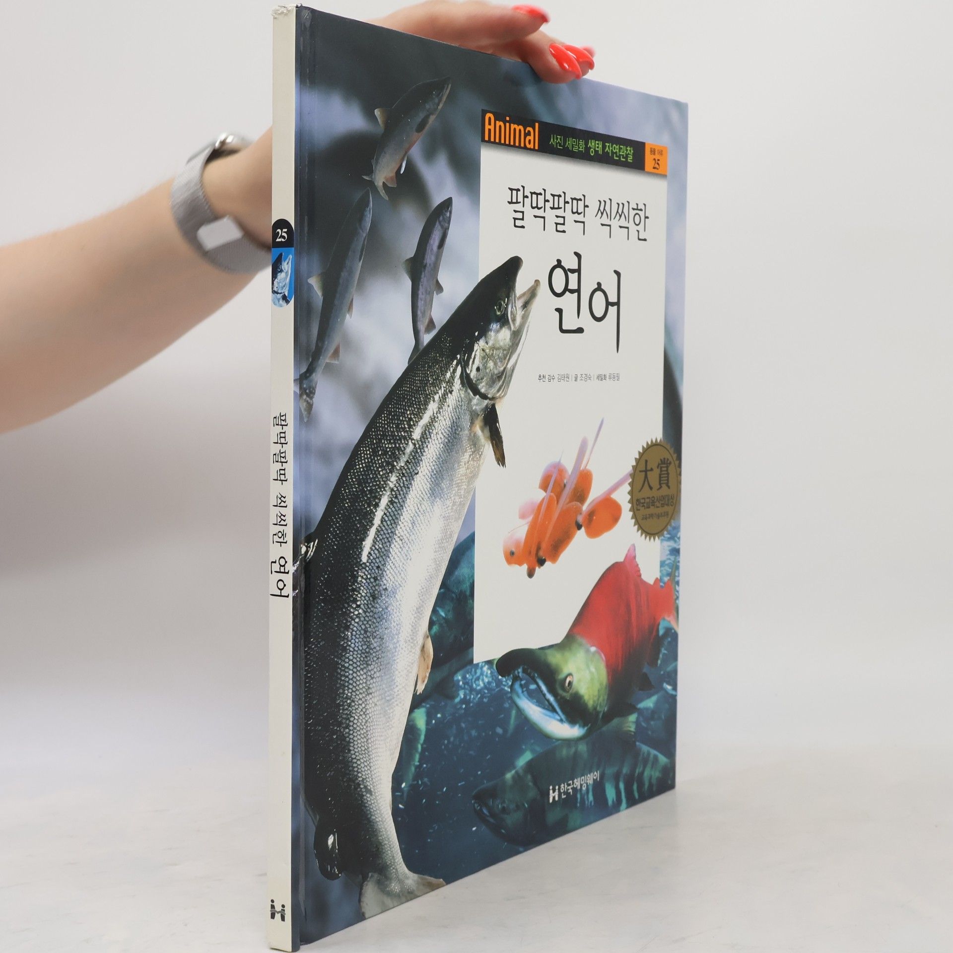 허용선 팔딱팔딱 씩씩한 연어 25
