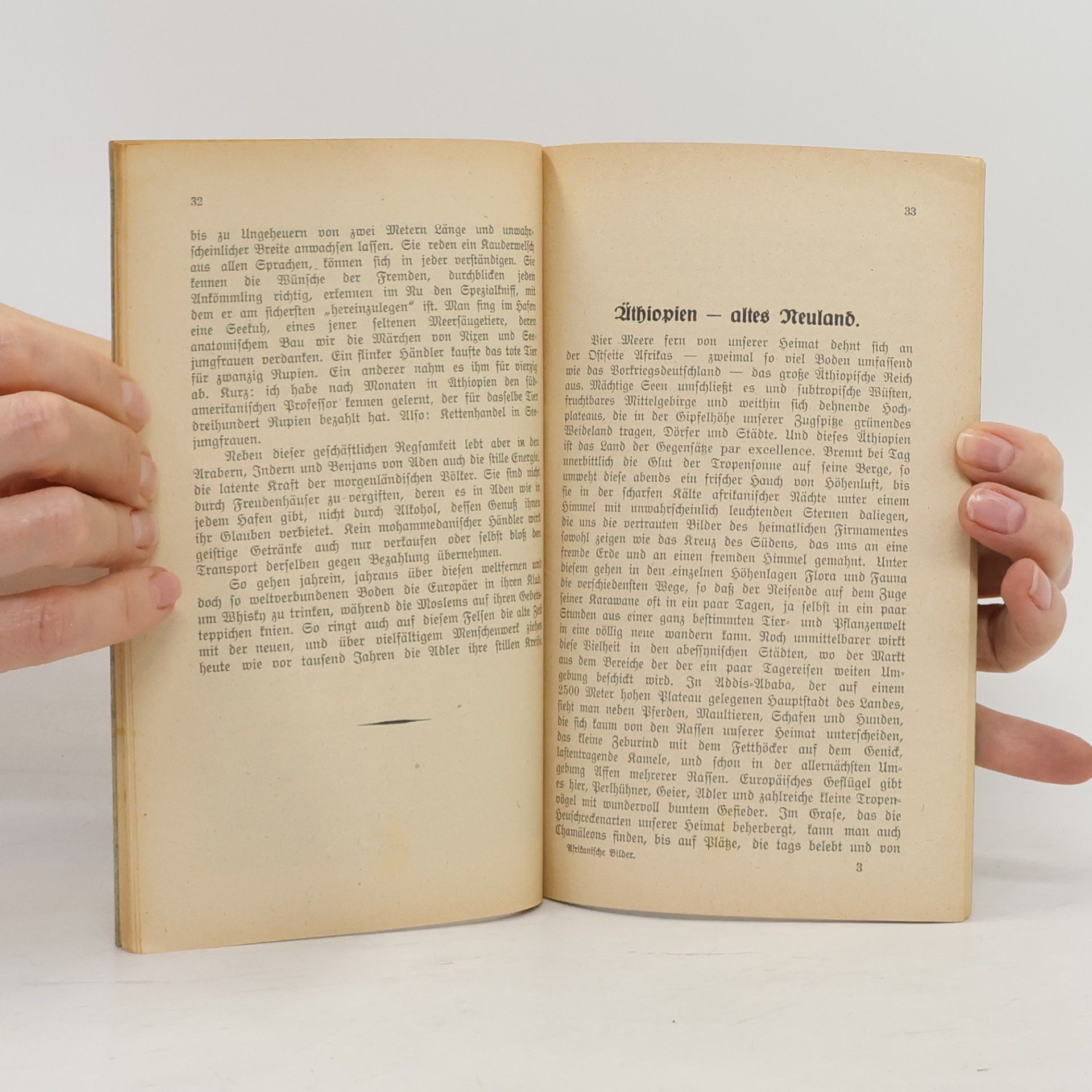 Ernst Heinrich Schrenzel Afrikanische Bilder
