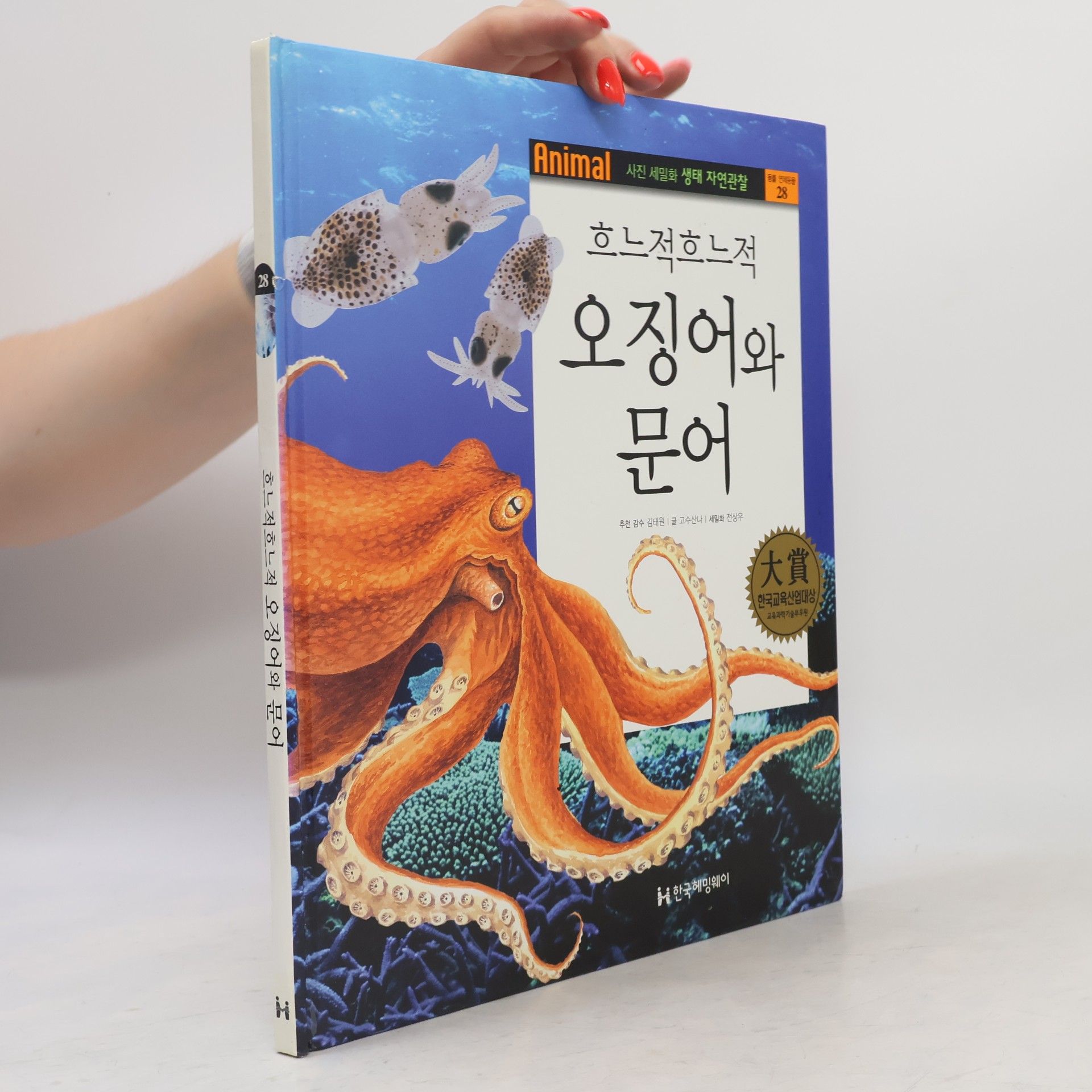 김태원 흐느적흐느적 오징어와 문어 28