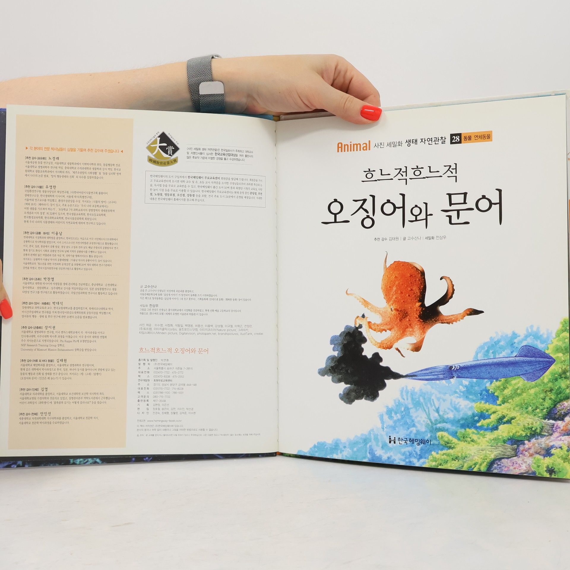 김태원 흐느적흐느적 오징어와 문어 28