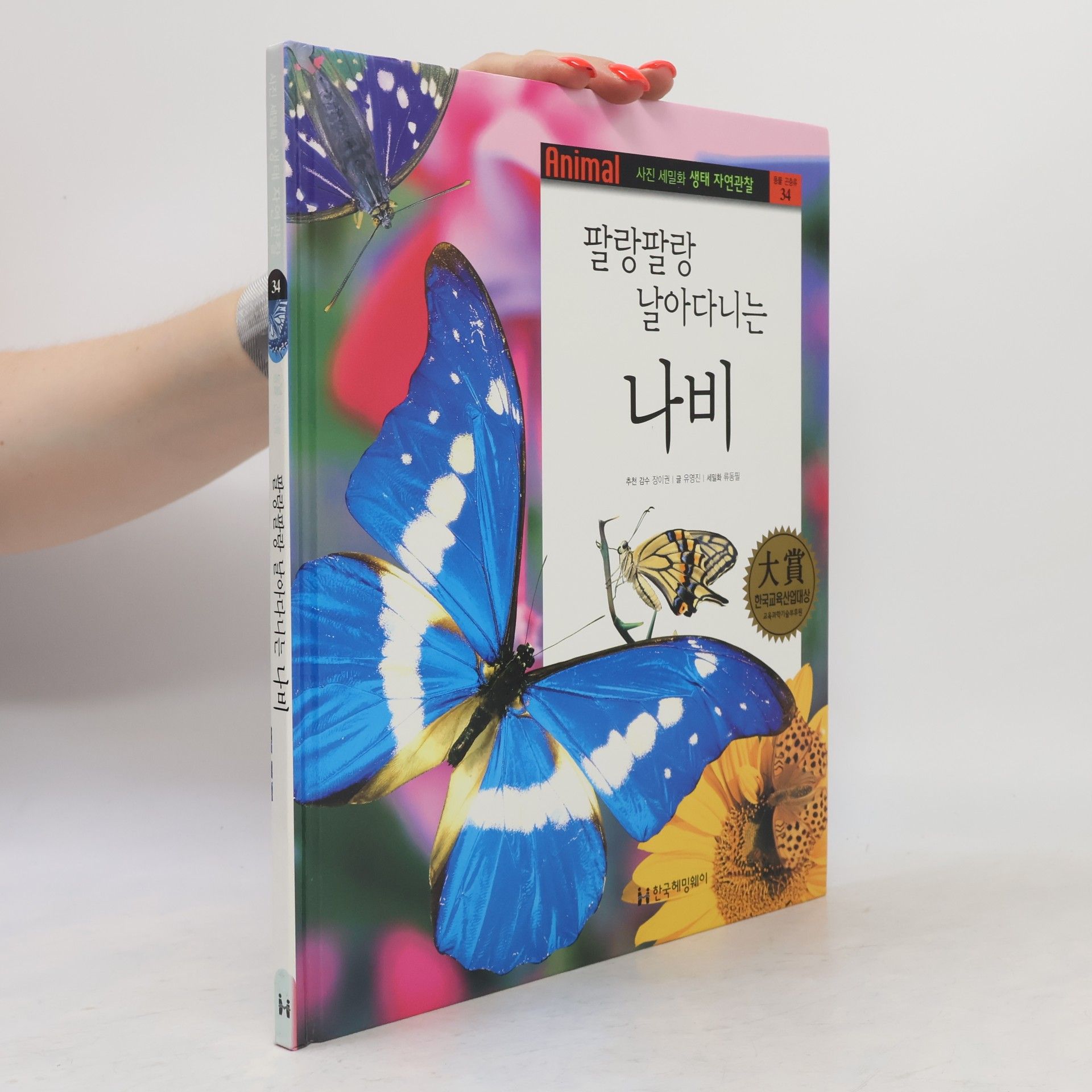 이수영 팔랑팔랑 날아다니는 나비 34