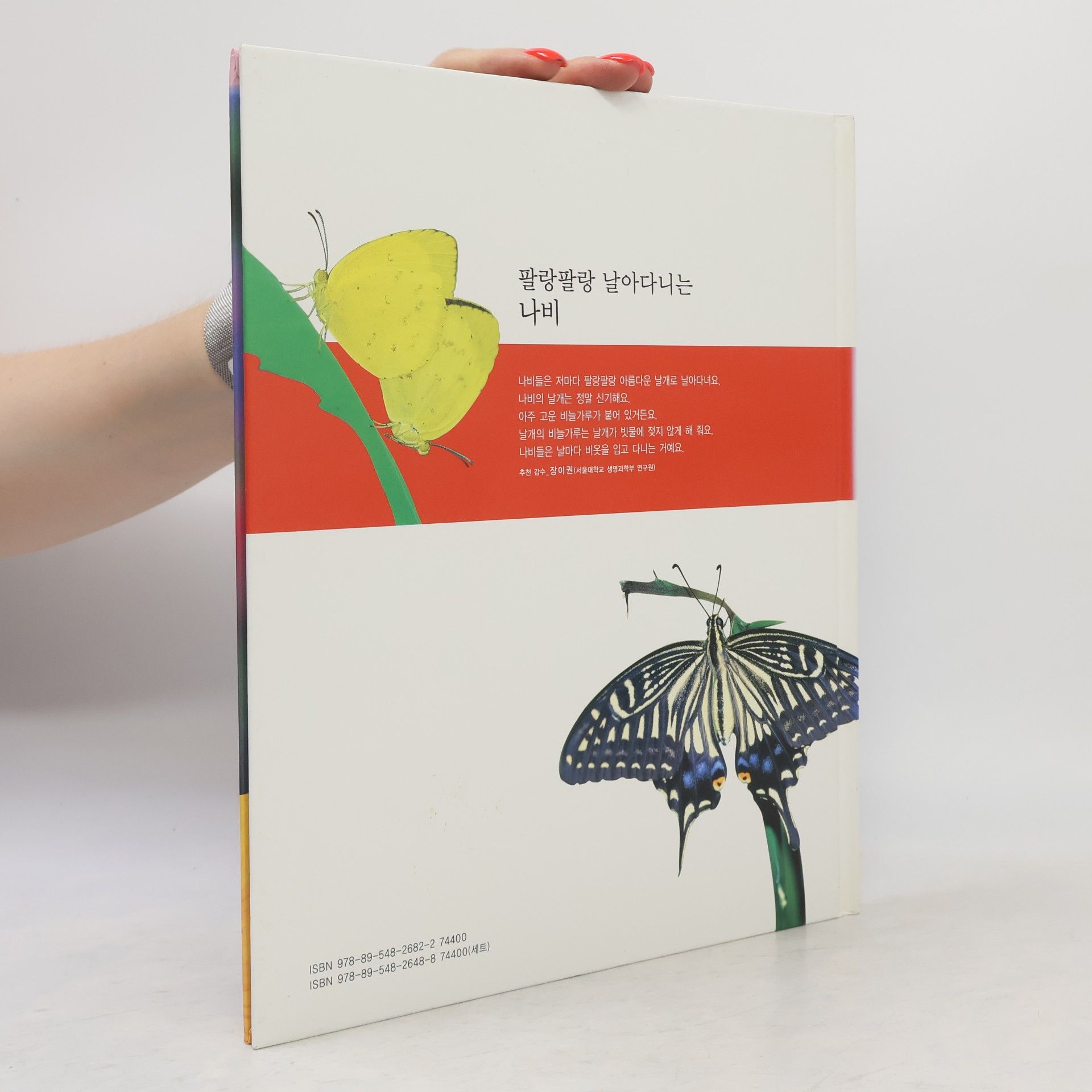 유영진 팔랑팔랑 날아다니는 나비 34
