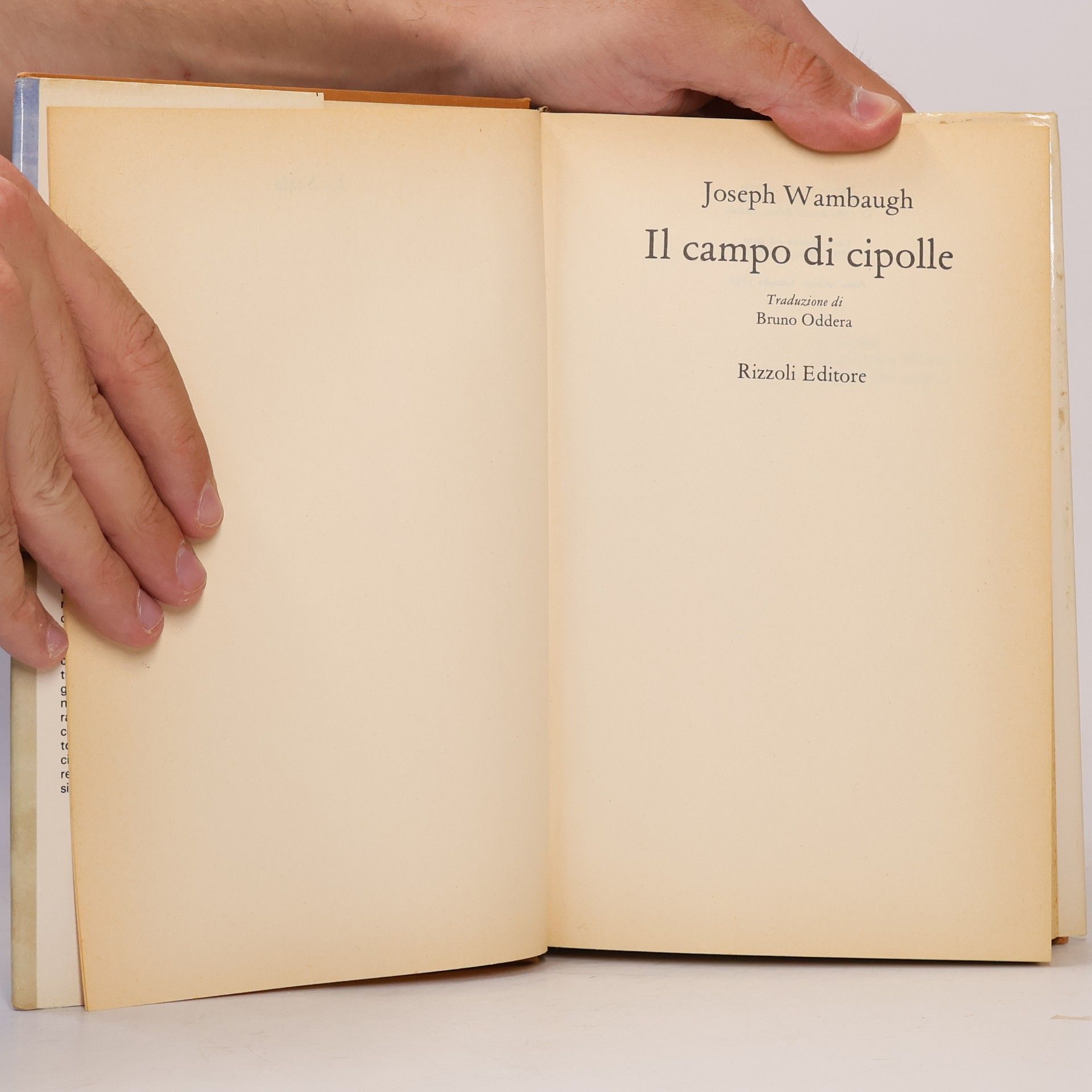 Joseph Wambaugh Il Campo di Cipolle