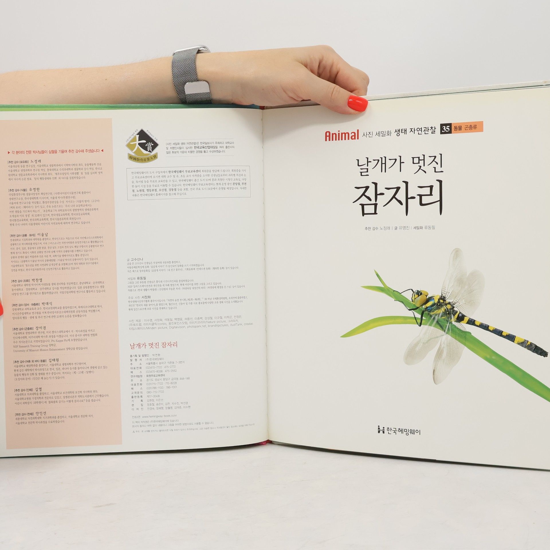 고수산나 날개가 멋진 잠자리 35