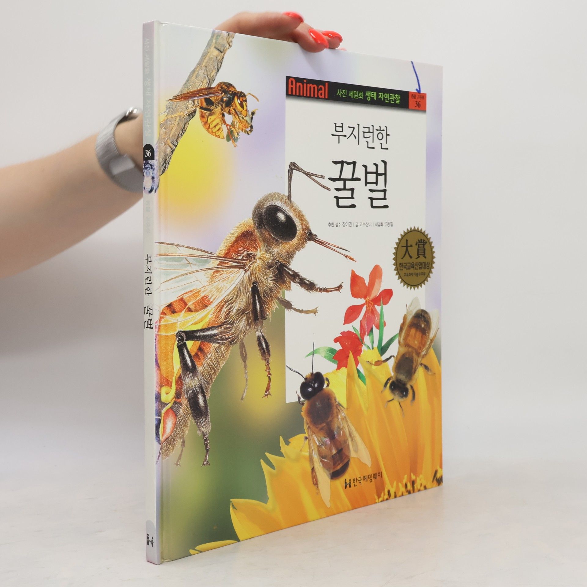 고수산나 부지런한 꿀벌 36