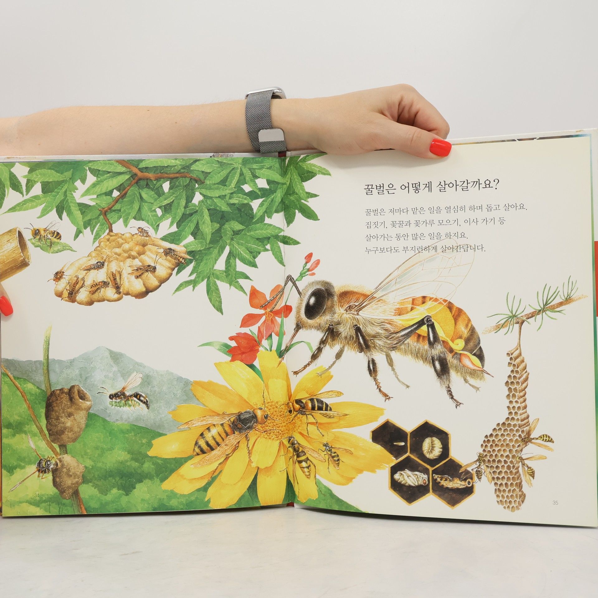 고수산나 부지런한 꿀벌 36