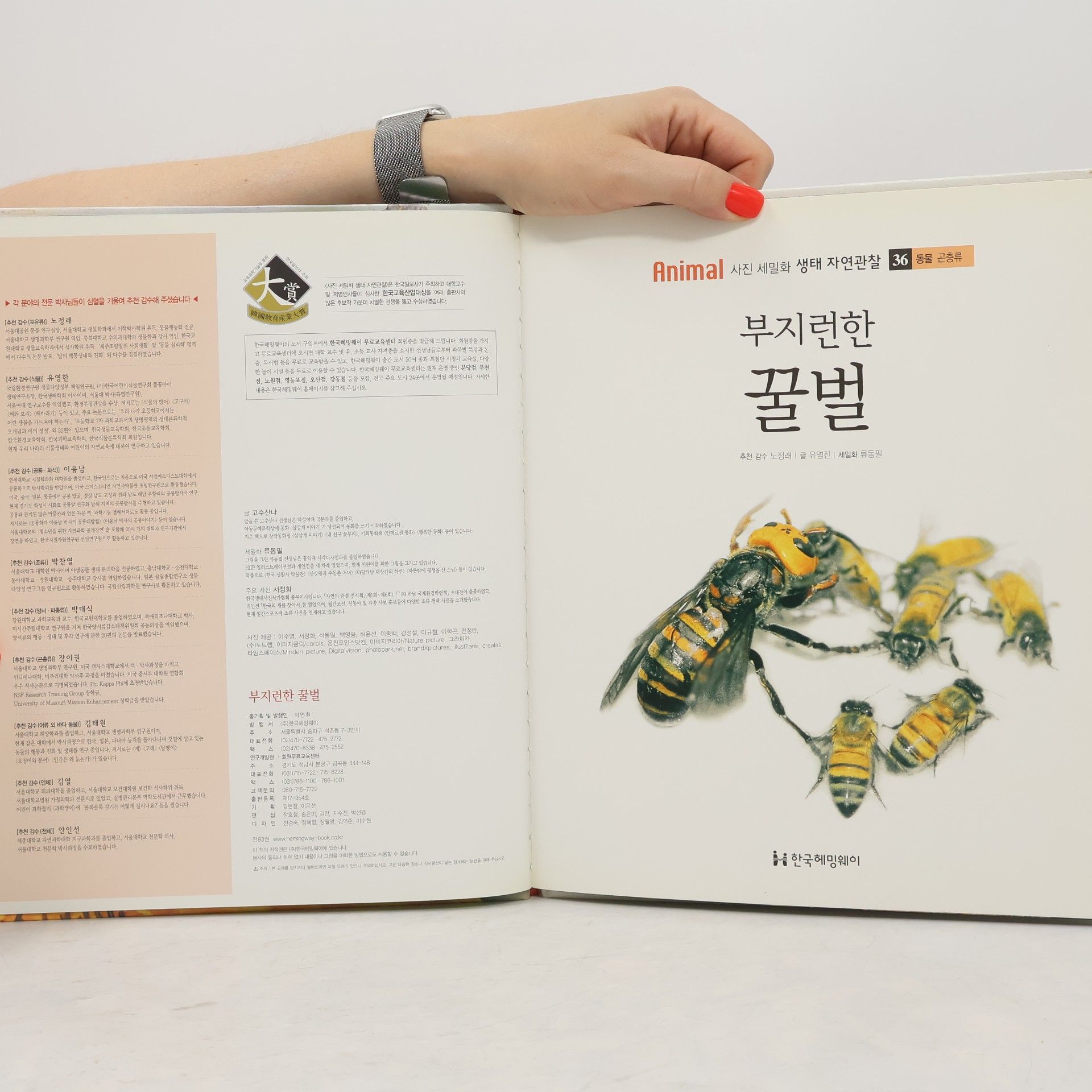 고수산나 부지런한 꿀벌 36