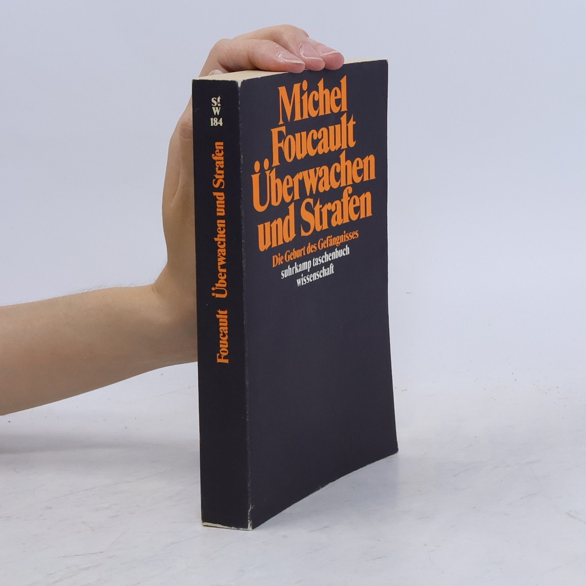 Michel Foucault Überwachen und Strafen