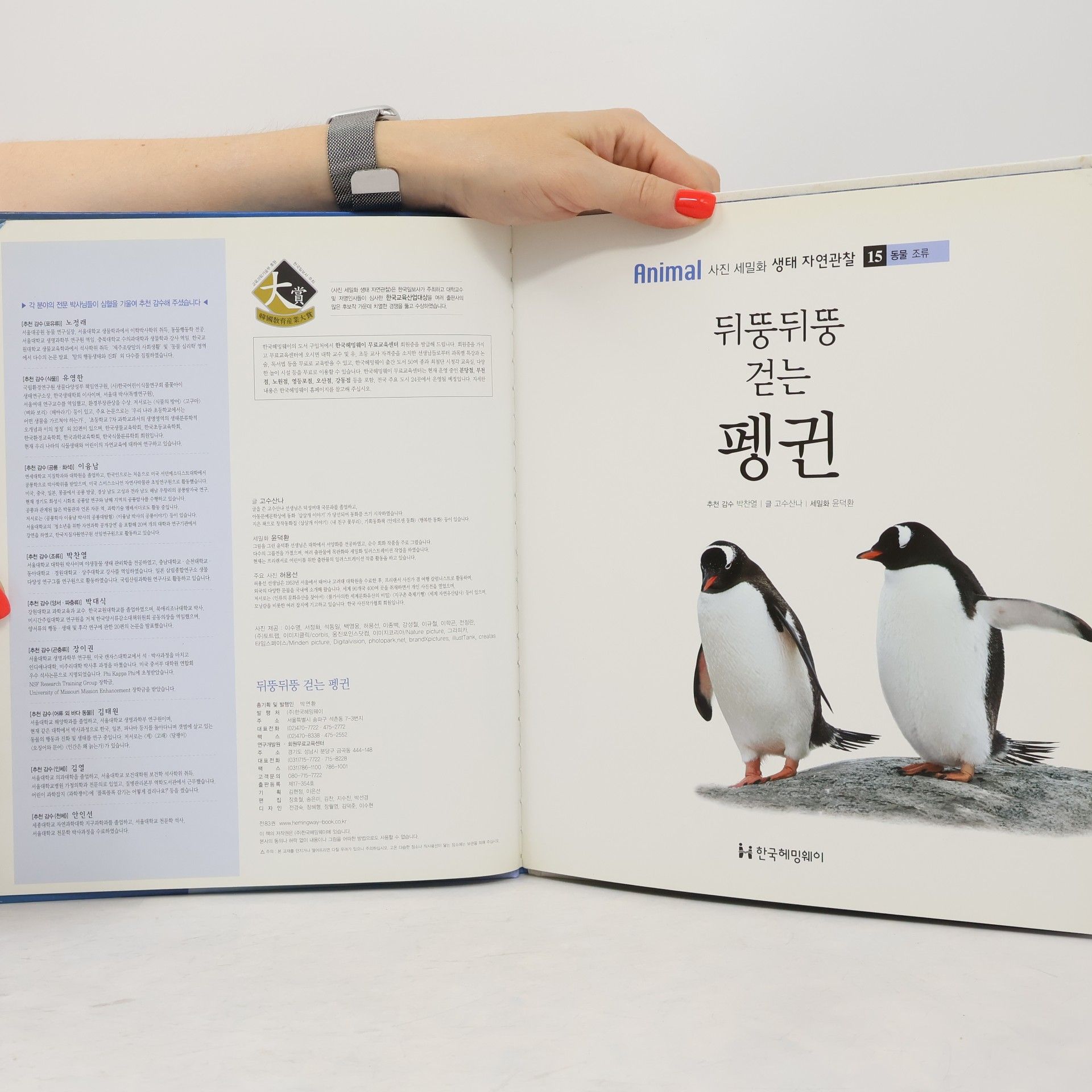 고수산나 뒤뚱뒤뚱 걷는 펭귄 15
